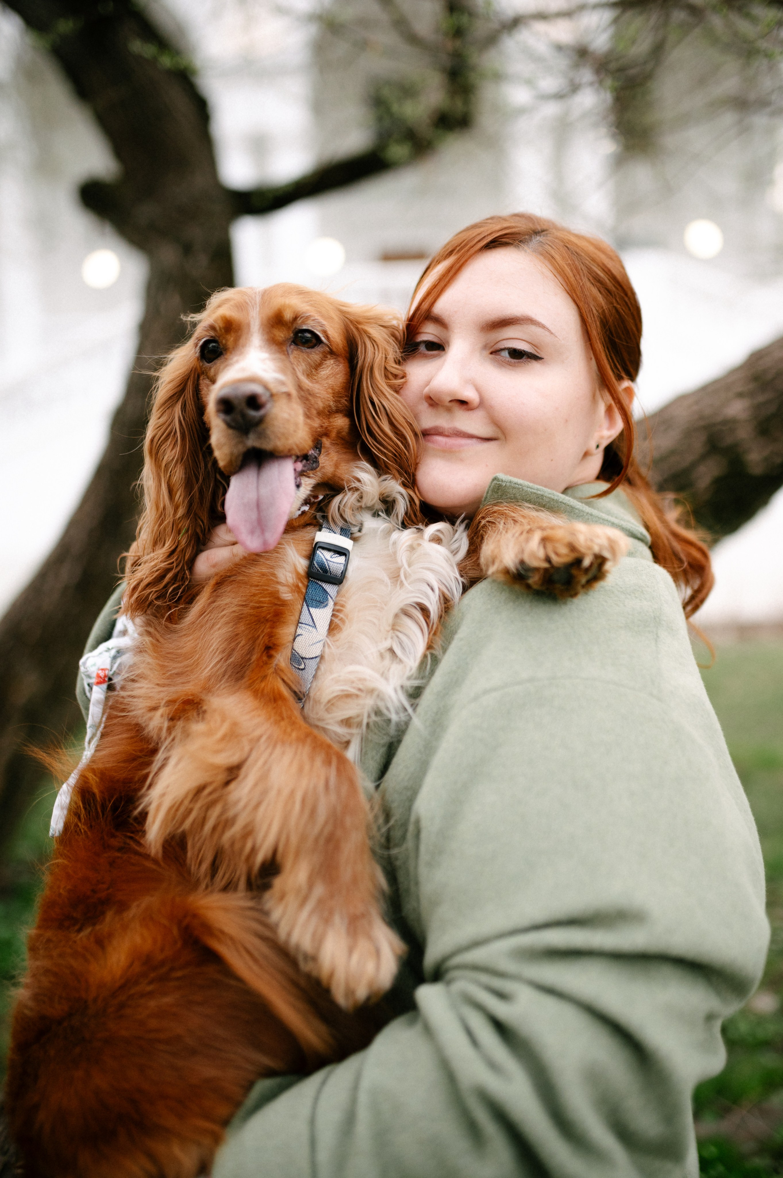 Рыжая команда. Фотограф анималист в Москве Ольга Агушева