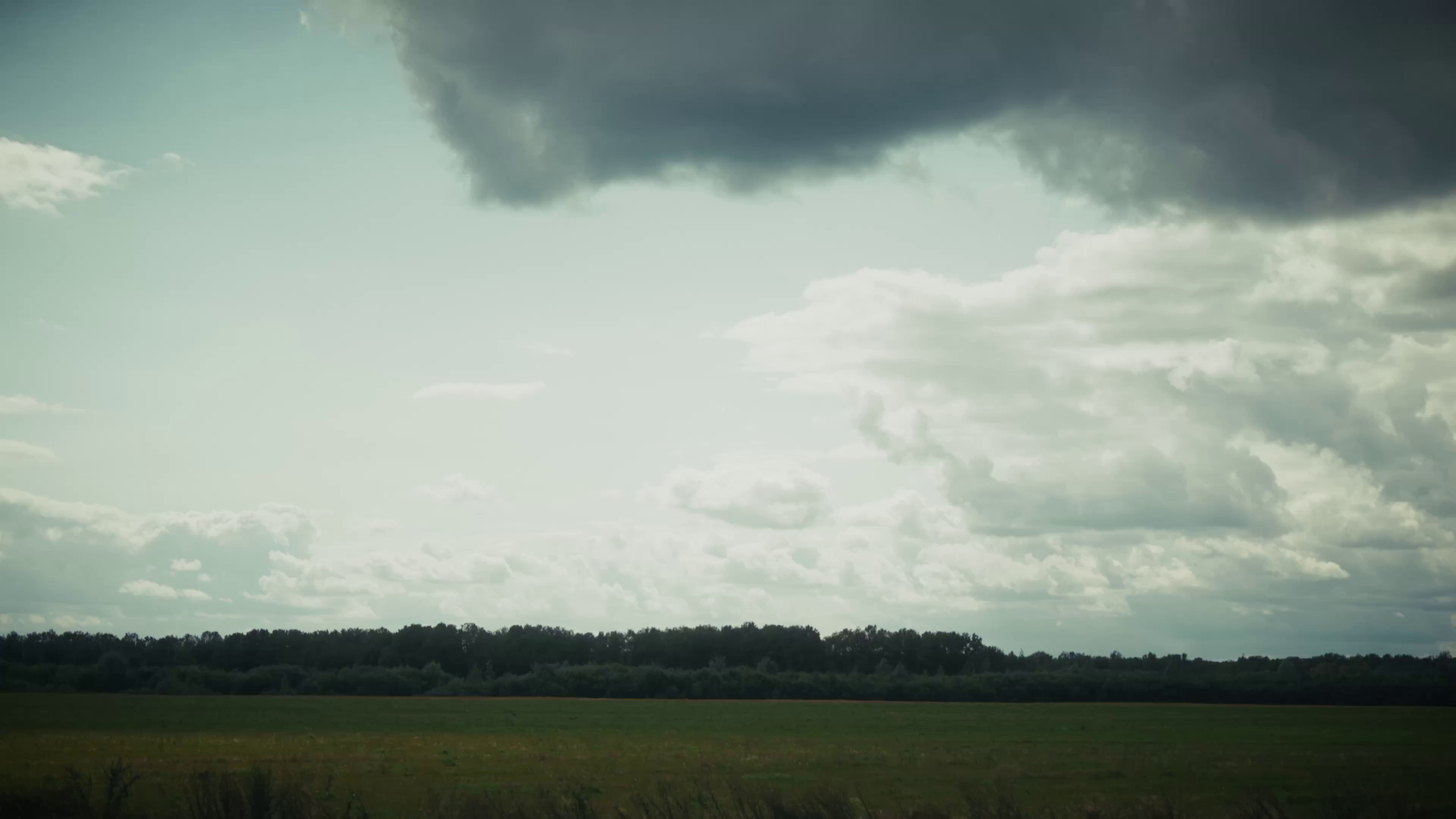 2025.08.20 Ярослав и Катя. Вова Вершинин - свадебный видеограф в Нижнем Новгороде, Москве и всей России