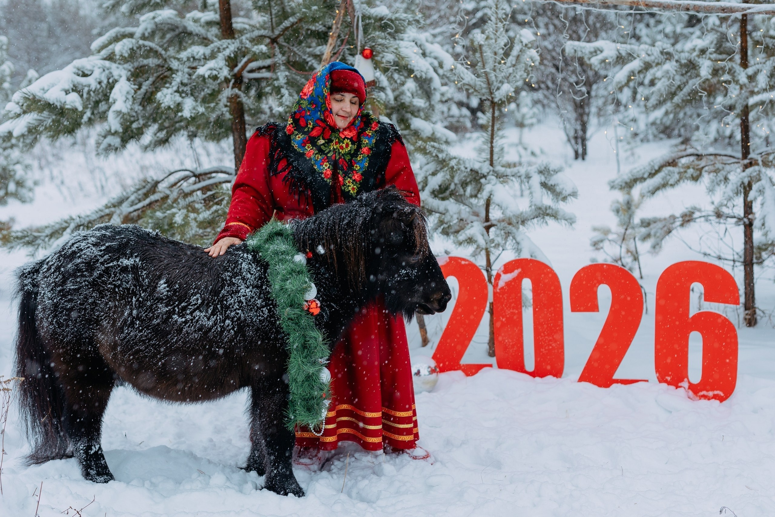 Новогодние съемки. Фотограф Екатерина Головатюк, Железногорск Красноярского края