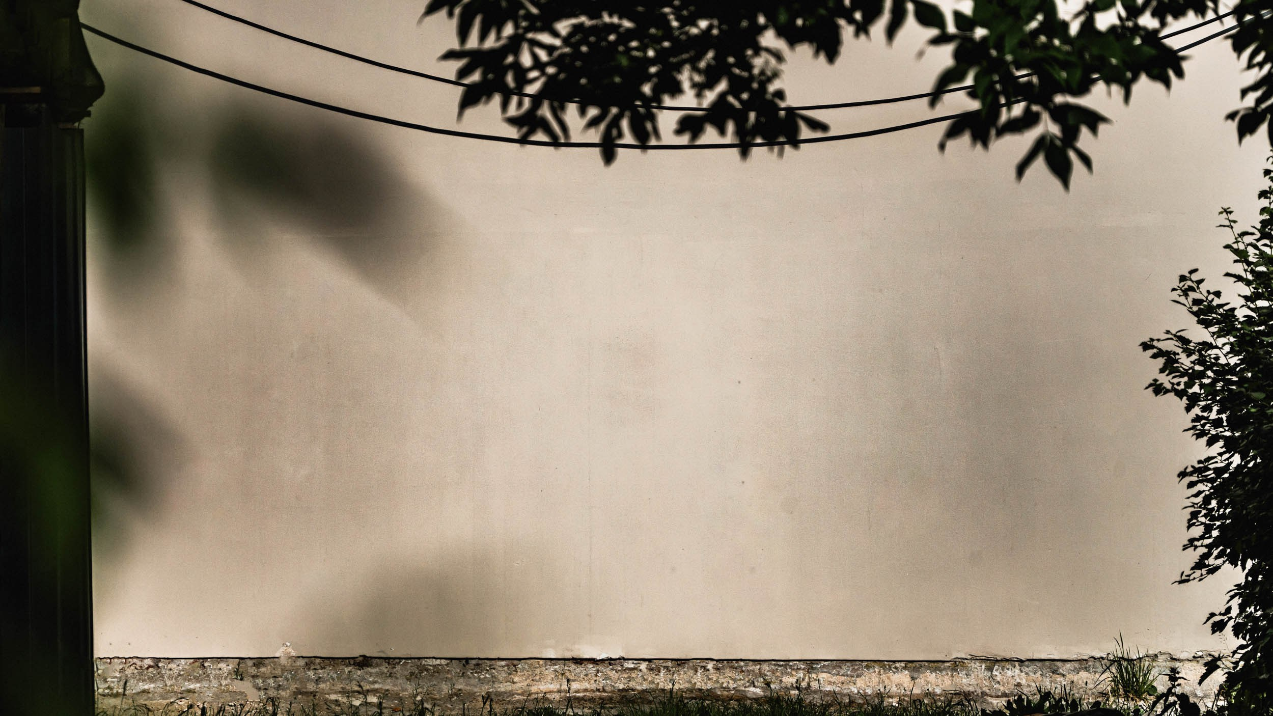 Saint Petersburg. The Andris