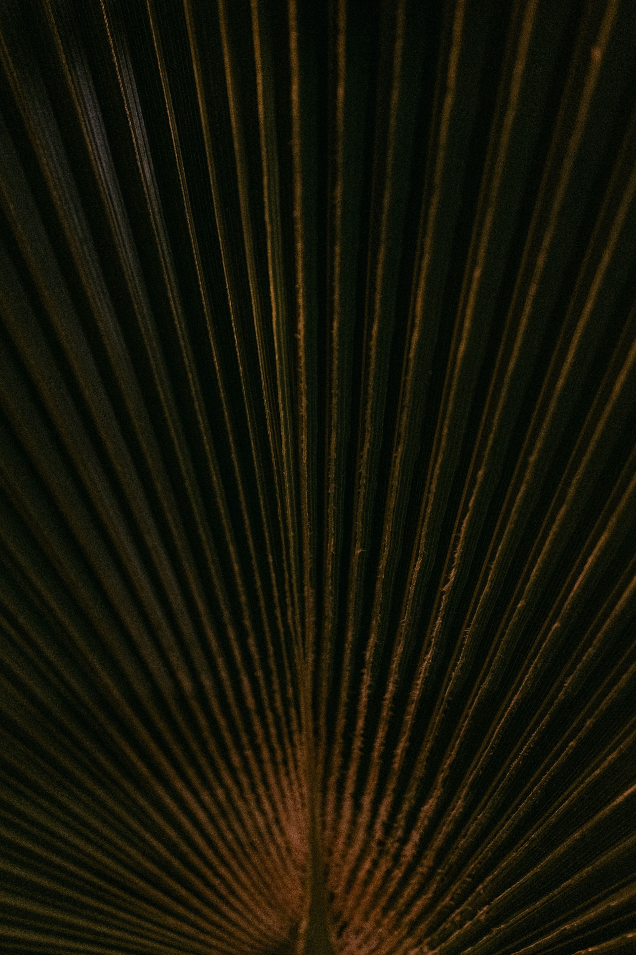 A German wedding among palms. Wedding & Documentary Photographer based in Nuremberg — available across Europe & Turkey | Vitalii Nasonov