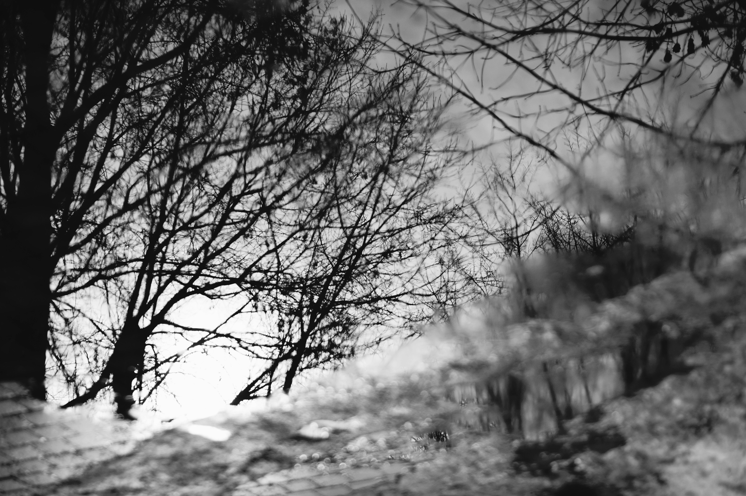 Глубина и Свет/ Depth & Light. Авторская фотография с характером в Москве. Ana Sur