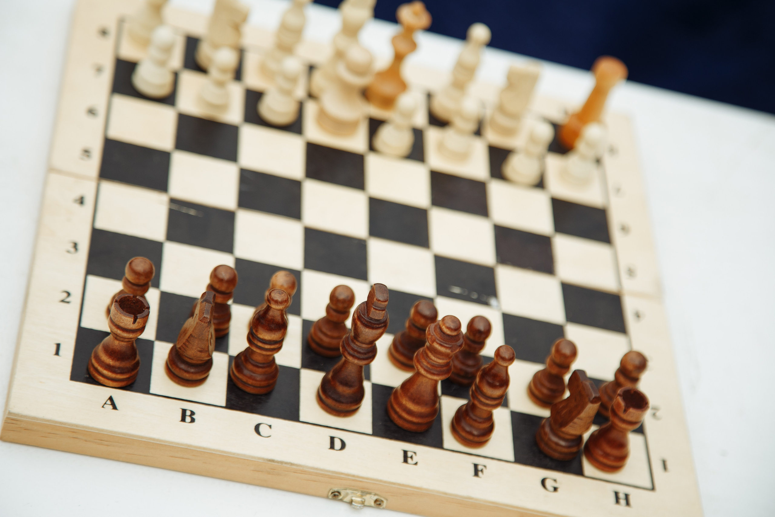 День истории Цорицино. Свадебный Семейный Репортажный фотограф в Москве