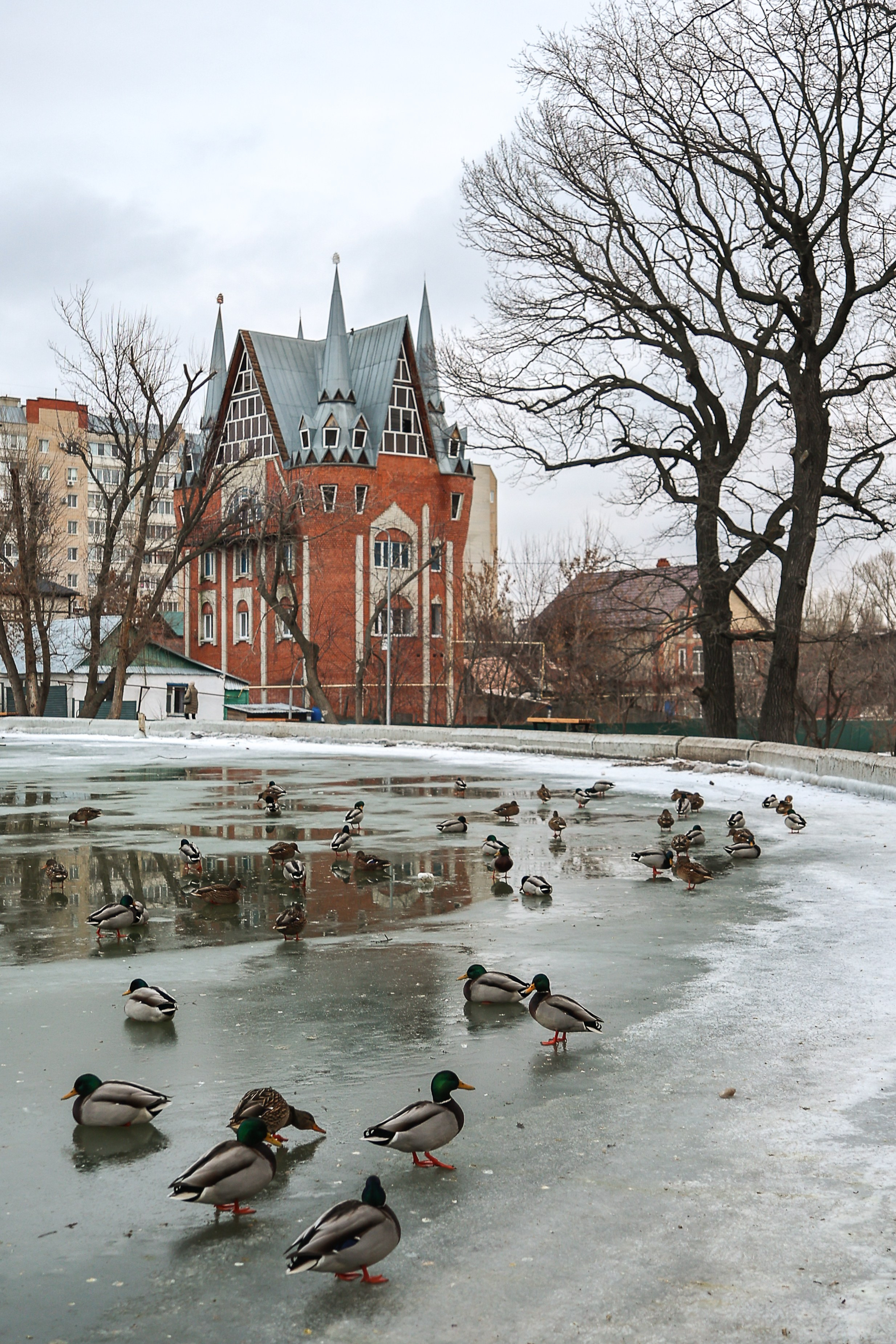 Саратов. Фотограф Дмитрий Алексеев