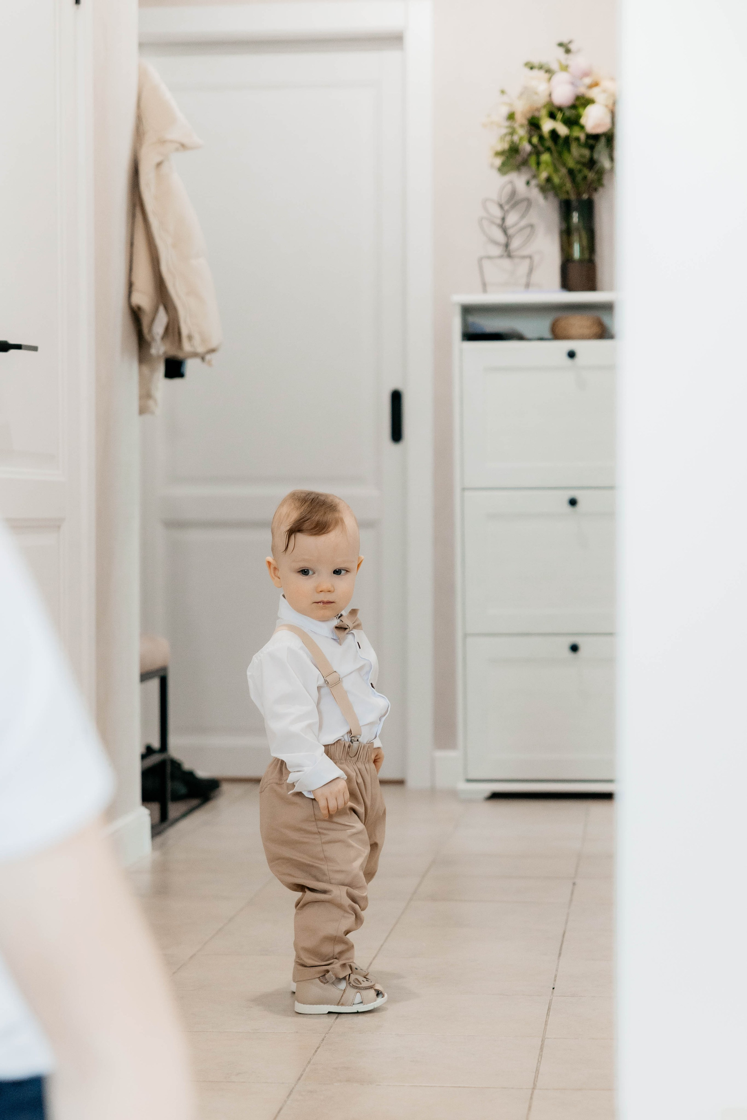 Лев. 2024 г. Персональный фотограф Катерина Литвинова