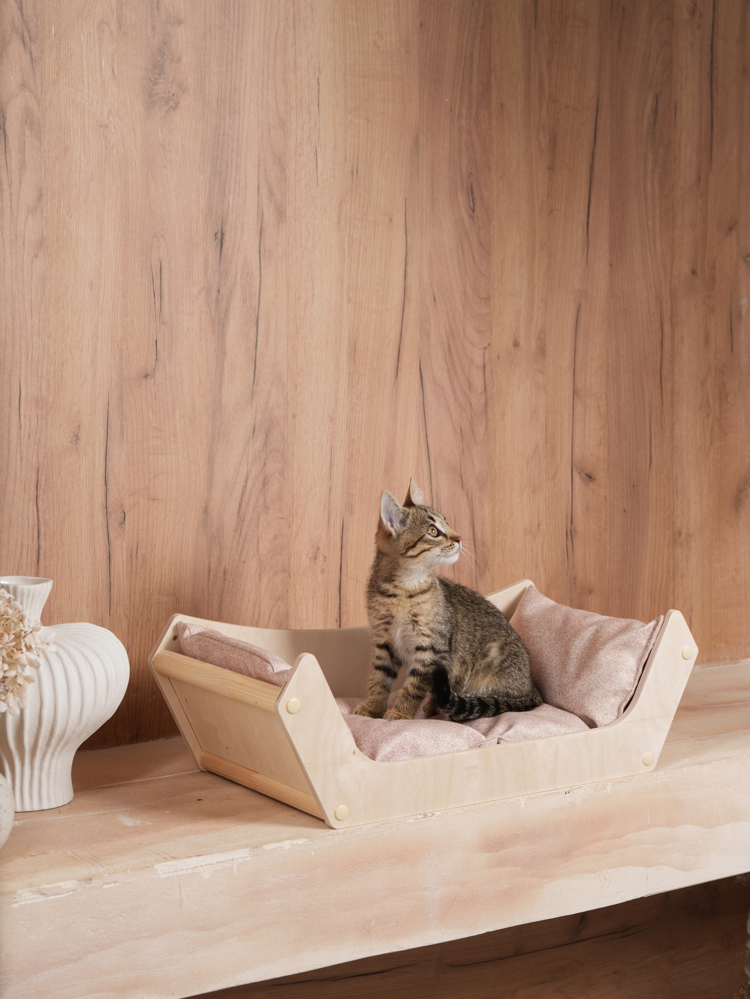 фотосъемка товаров для животных