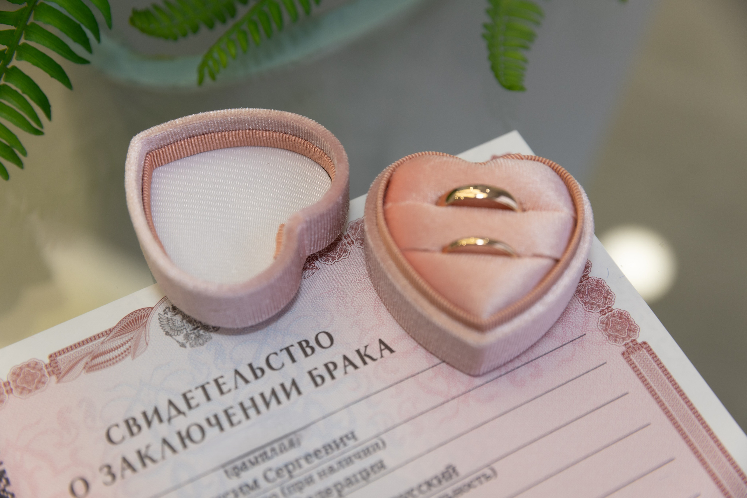 Ёлочки. Свадебный и семейный фотограф и видеограф Александр в Москве и Московской Области