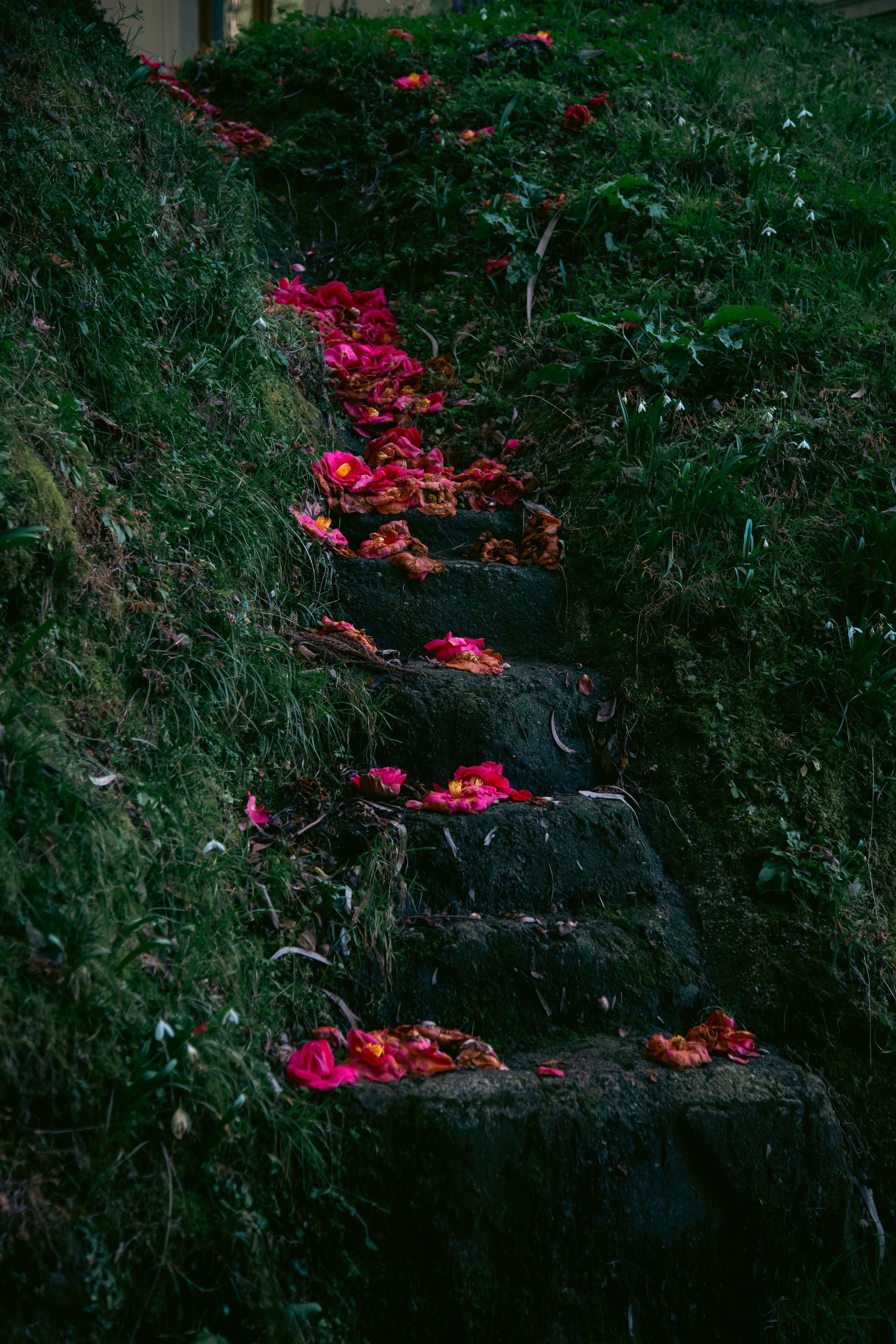 Batumi. Dmitriy [KCCC] is a pretty cool photographer