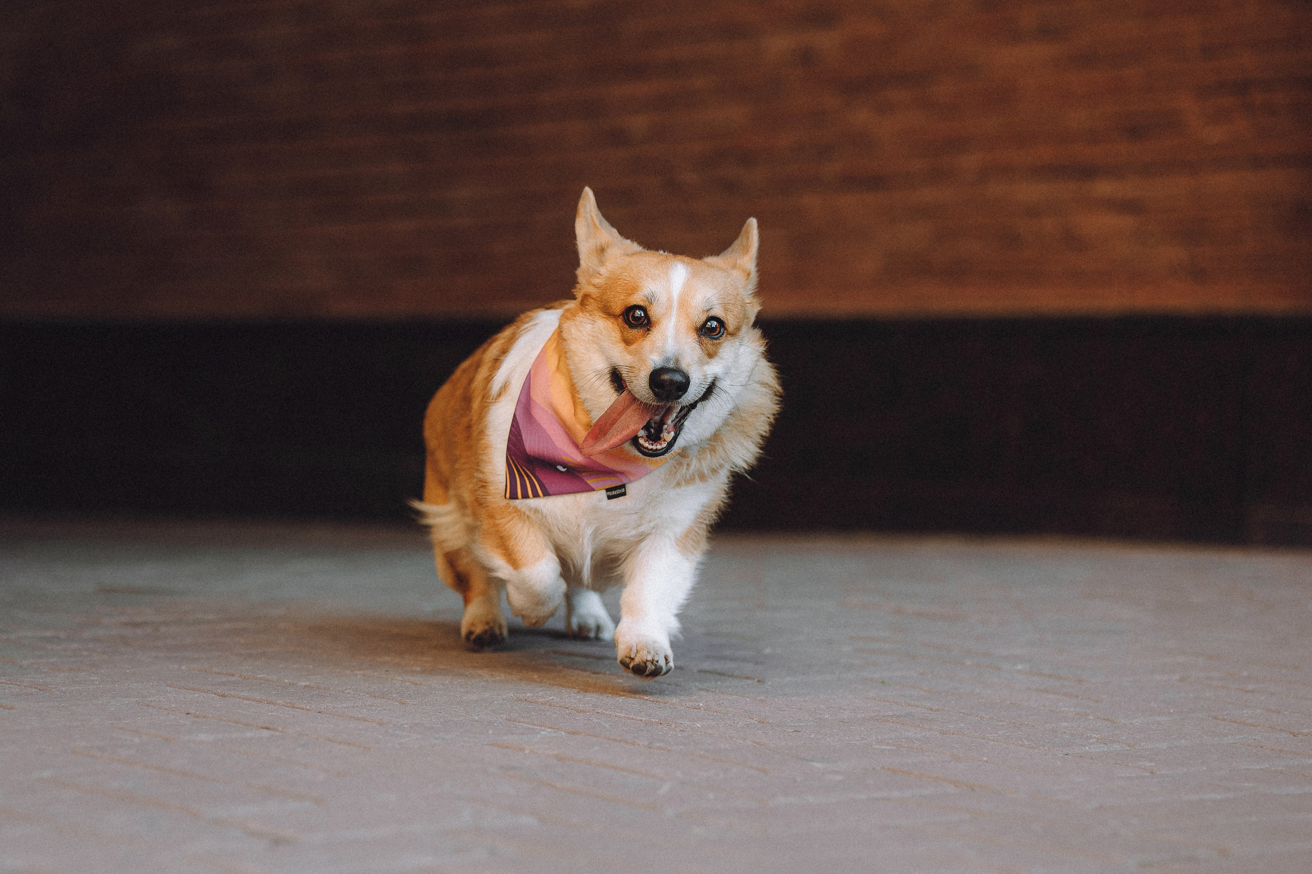 Вика и Мейзи