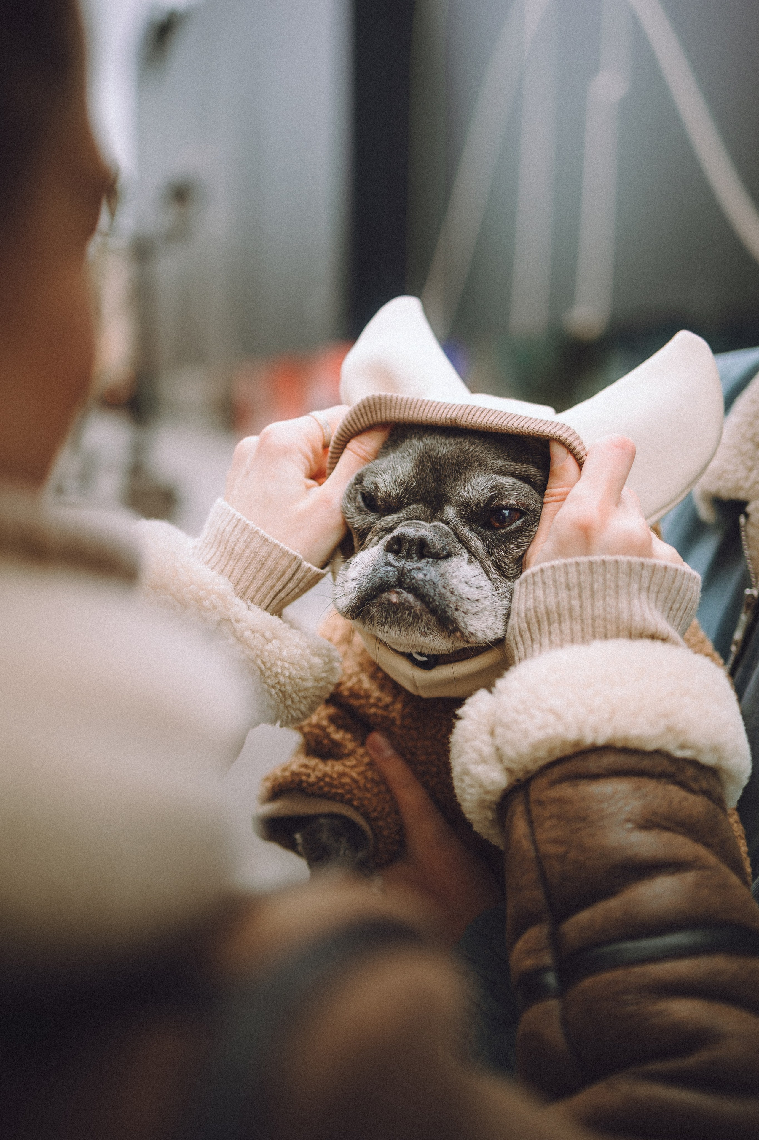 Юля, Вова и Моня