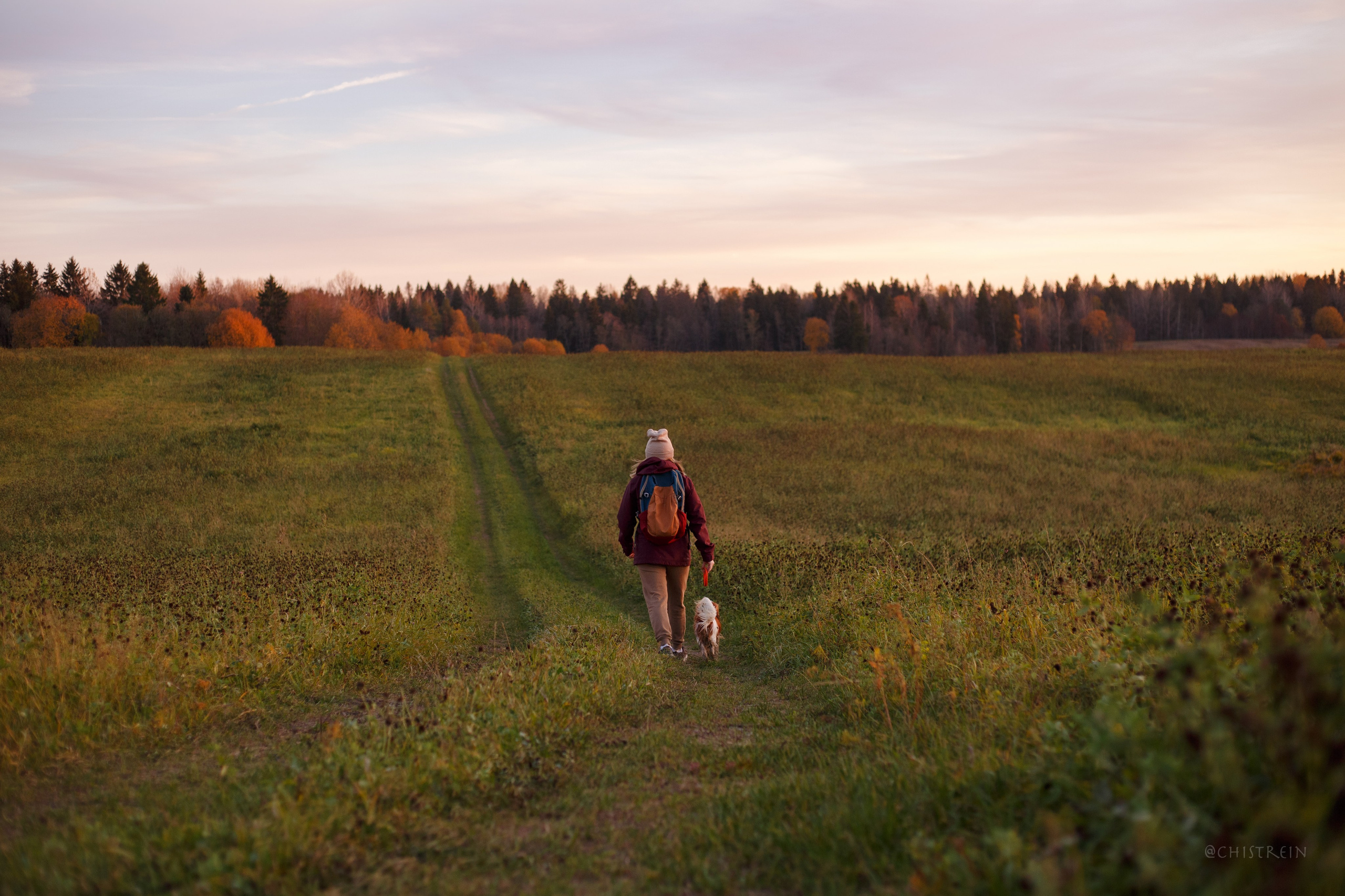 Октябрьский закат в полях. Алина и Лео. Фотограф-анималист Наталия Чистюхина в г. Сосновый Бор и ЛО