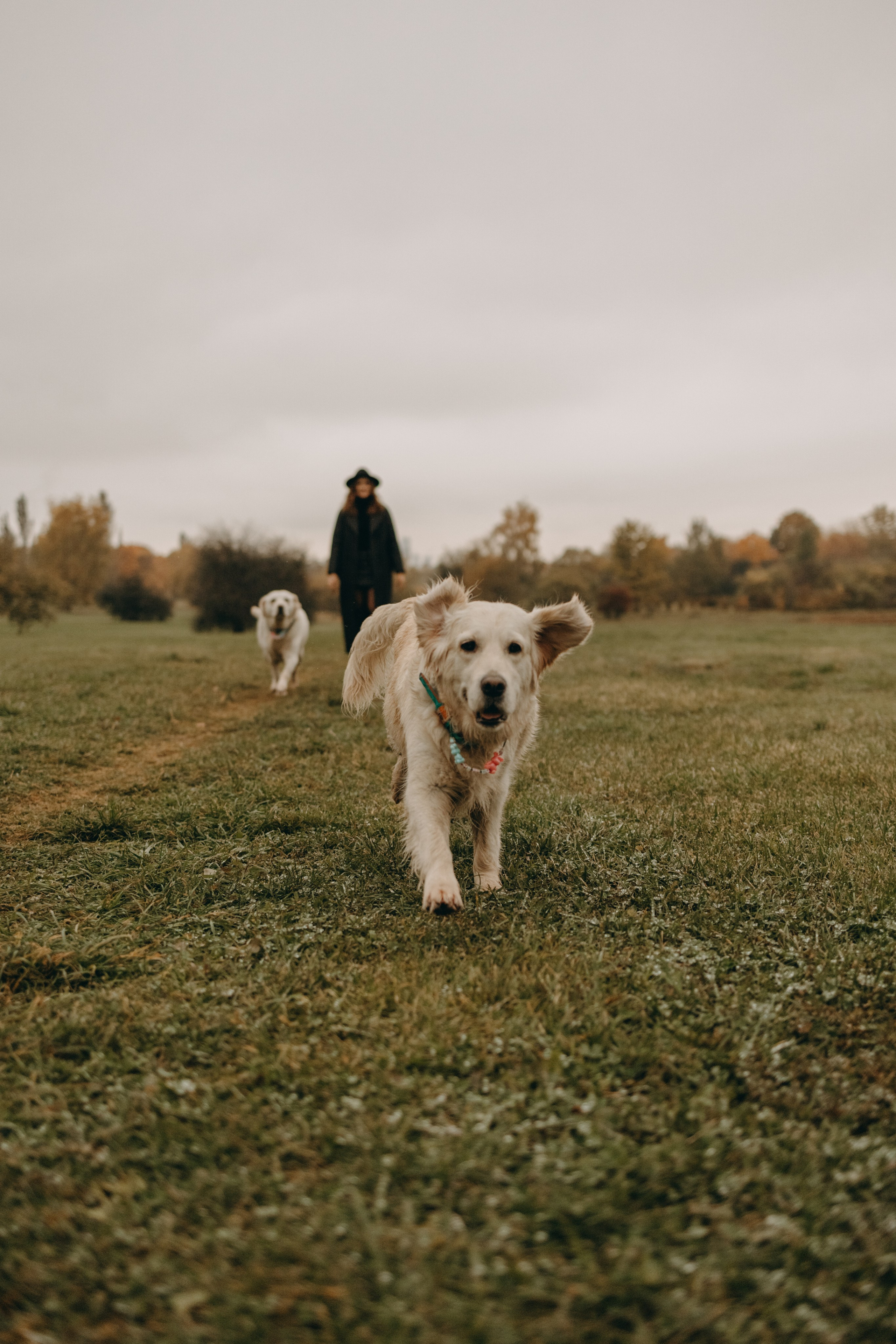 Женя и ее девочки. Фотограф — Анималист | Санкт-Петербург