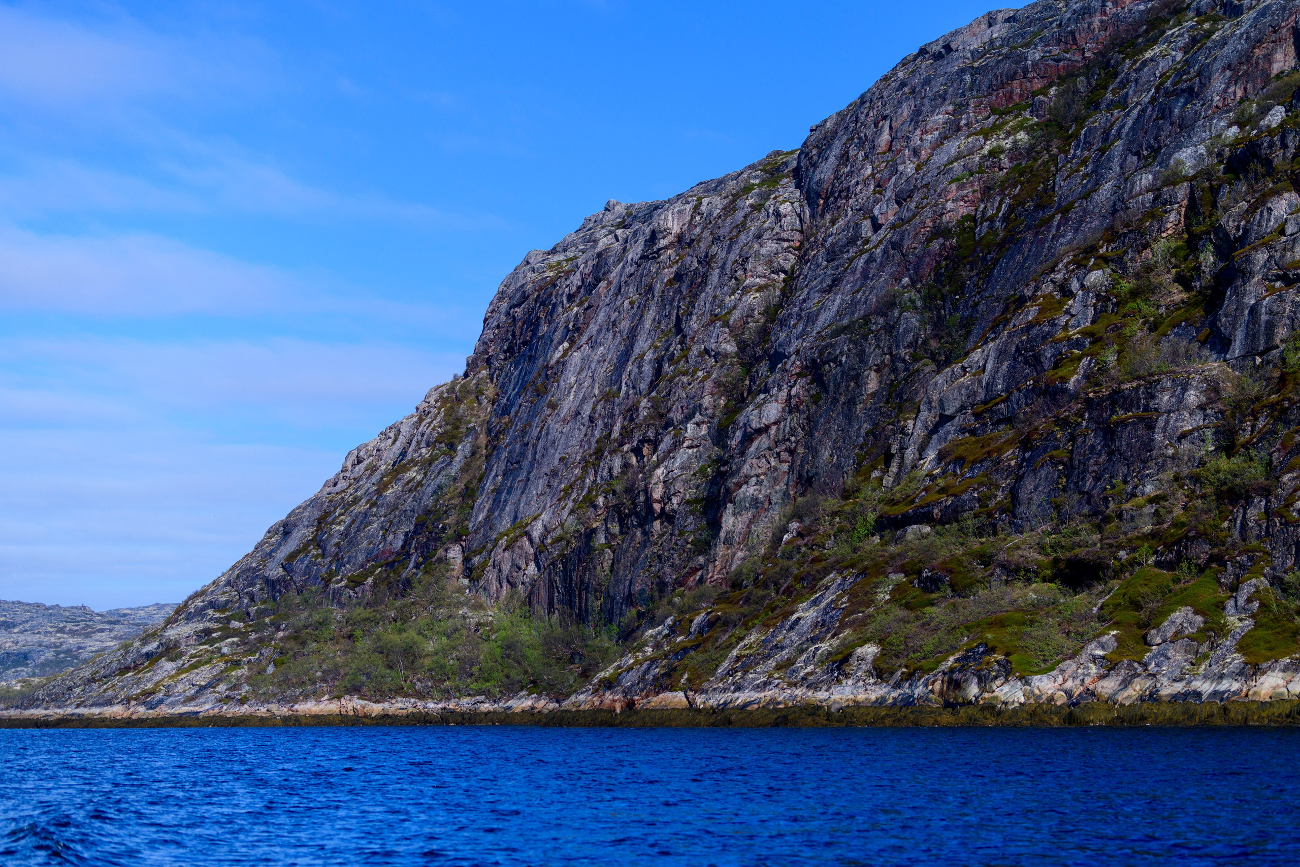 Мурманская область. Июнь 2024. Фотограф Сергей Пупонин