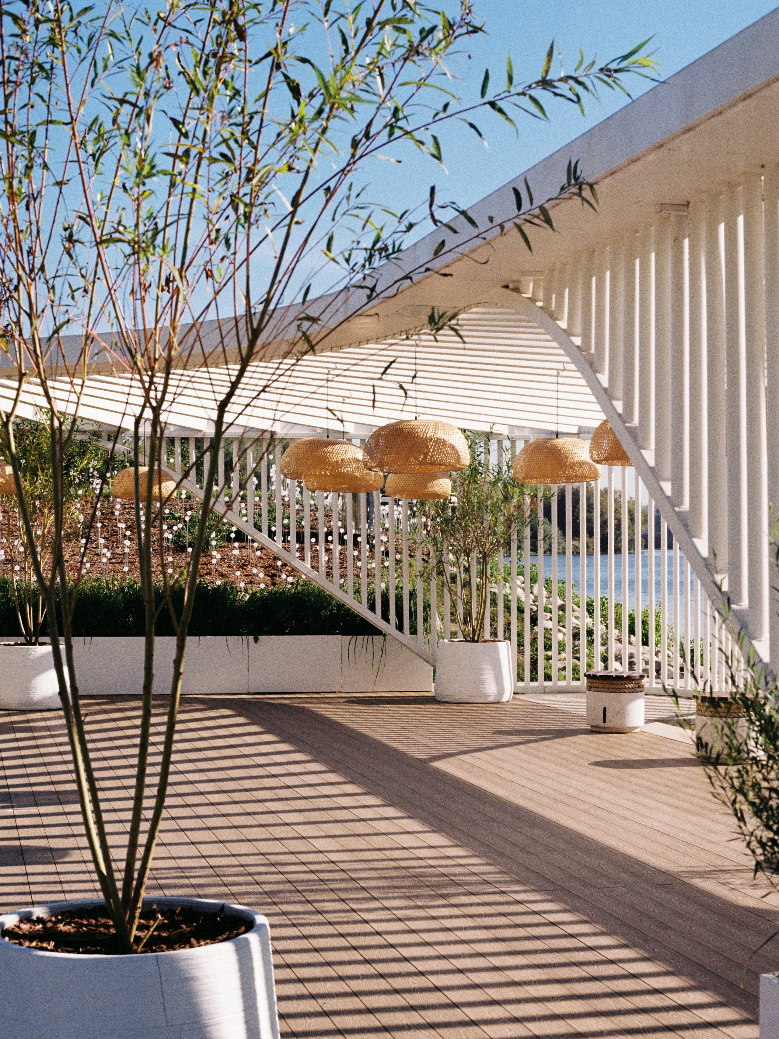 Лия, сентябрь 2025