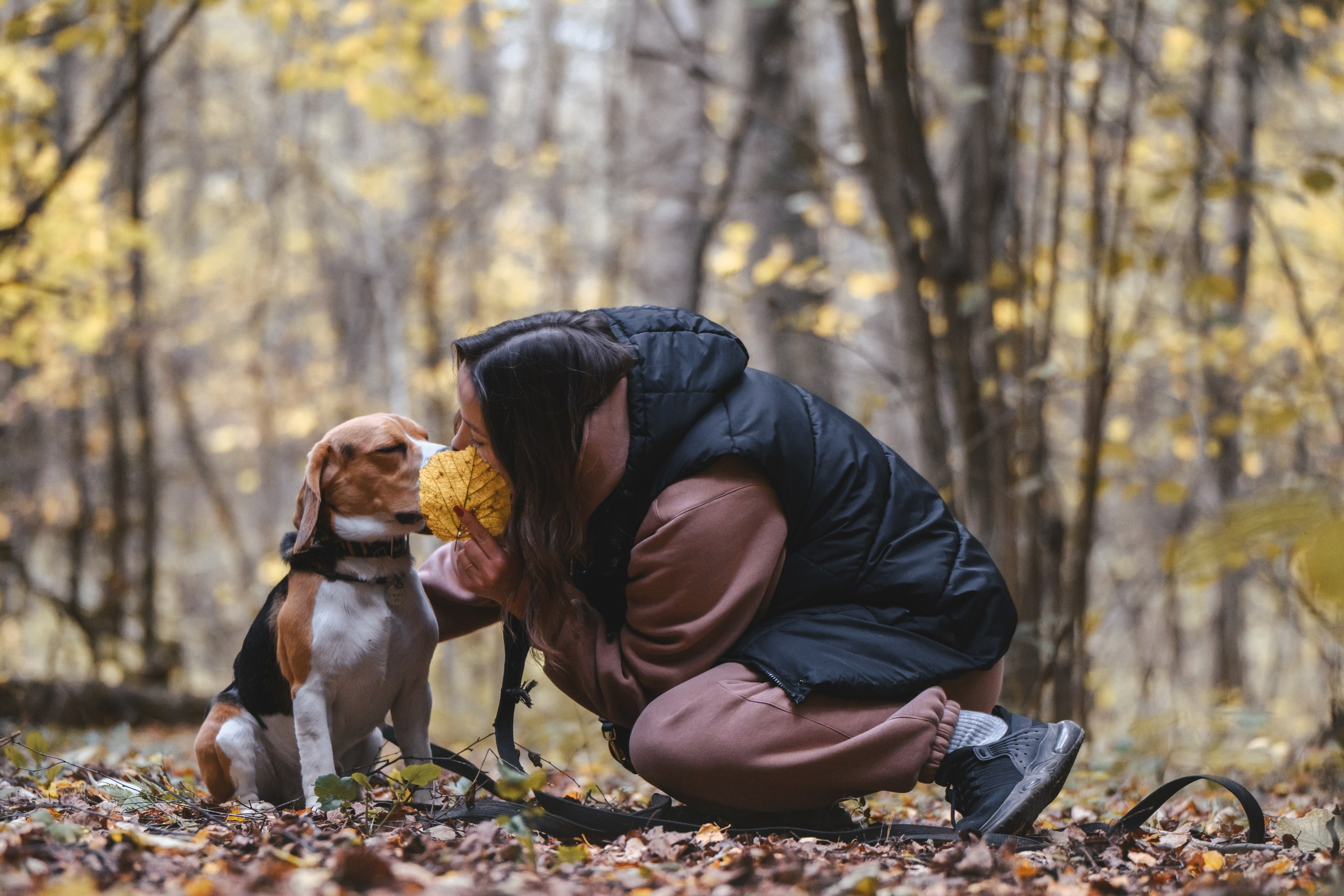Наталья и Бока. Фотограф Анималист в Москве Анастасия Жучкова