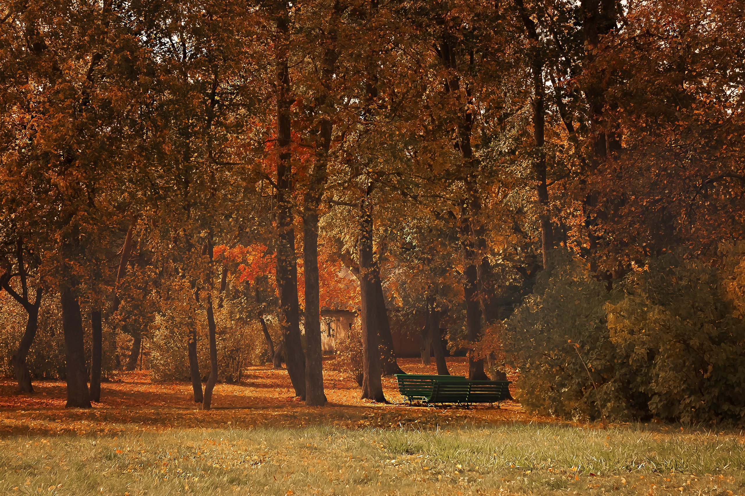 Тарханы. Съемка Таинств Крещения Венчания, детские и семейные съемки в Пензе