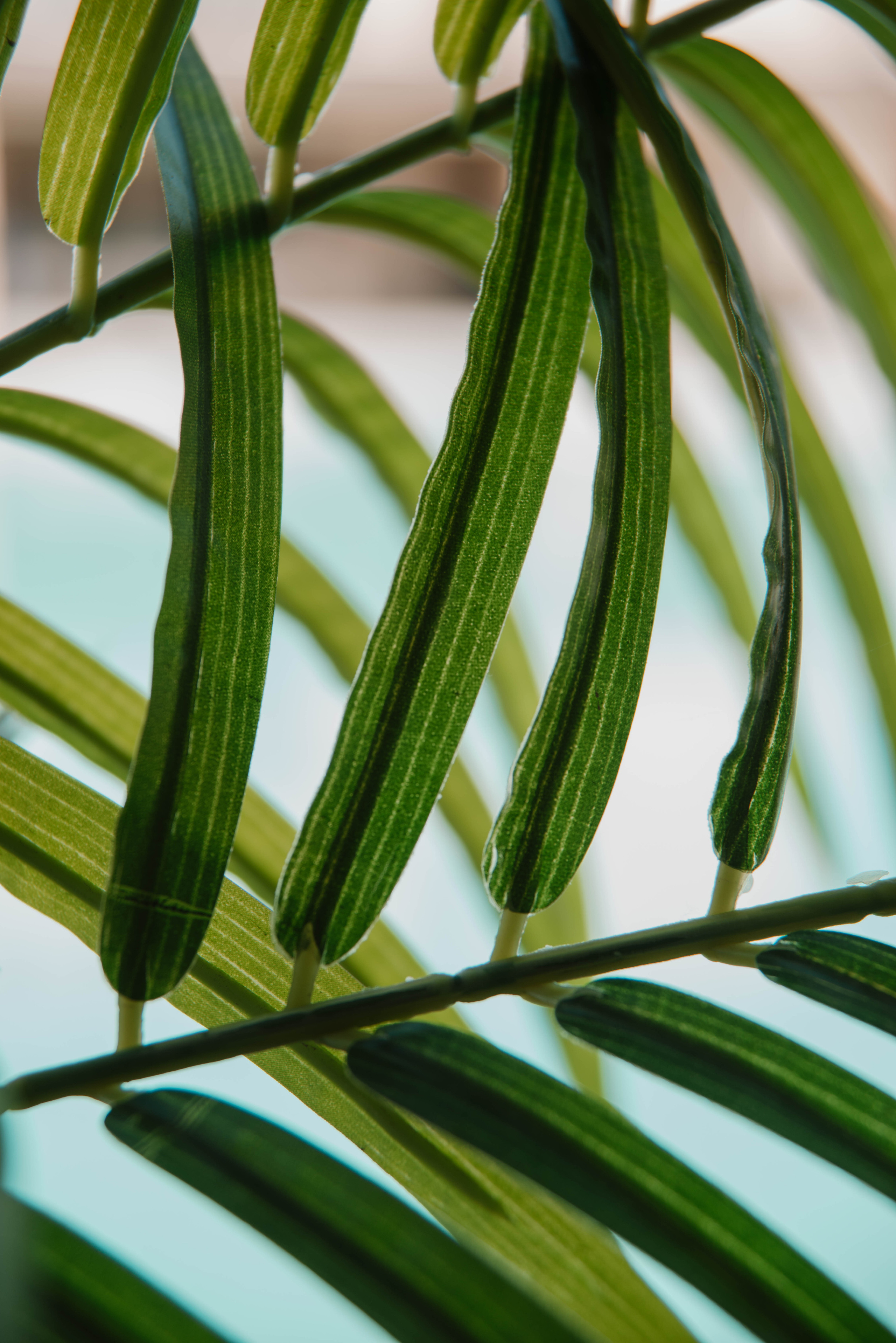 Визуал для клубного пространства «Своя среда». Ксения Glossa. Портретный и репортажный фотограф в Самаре