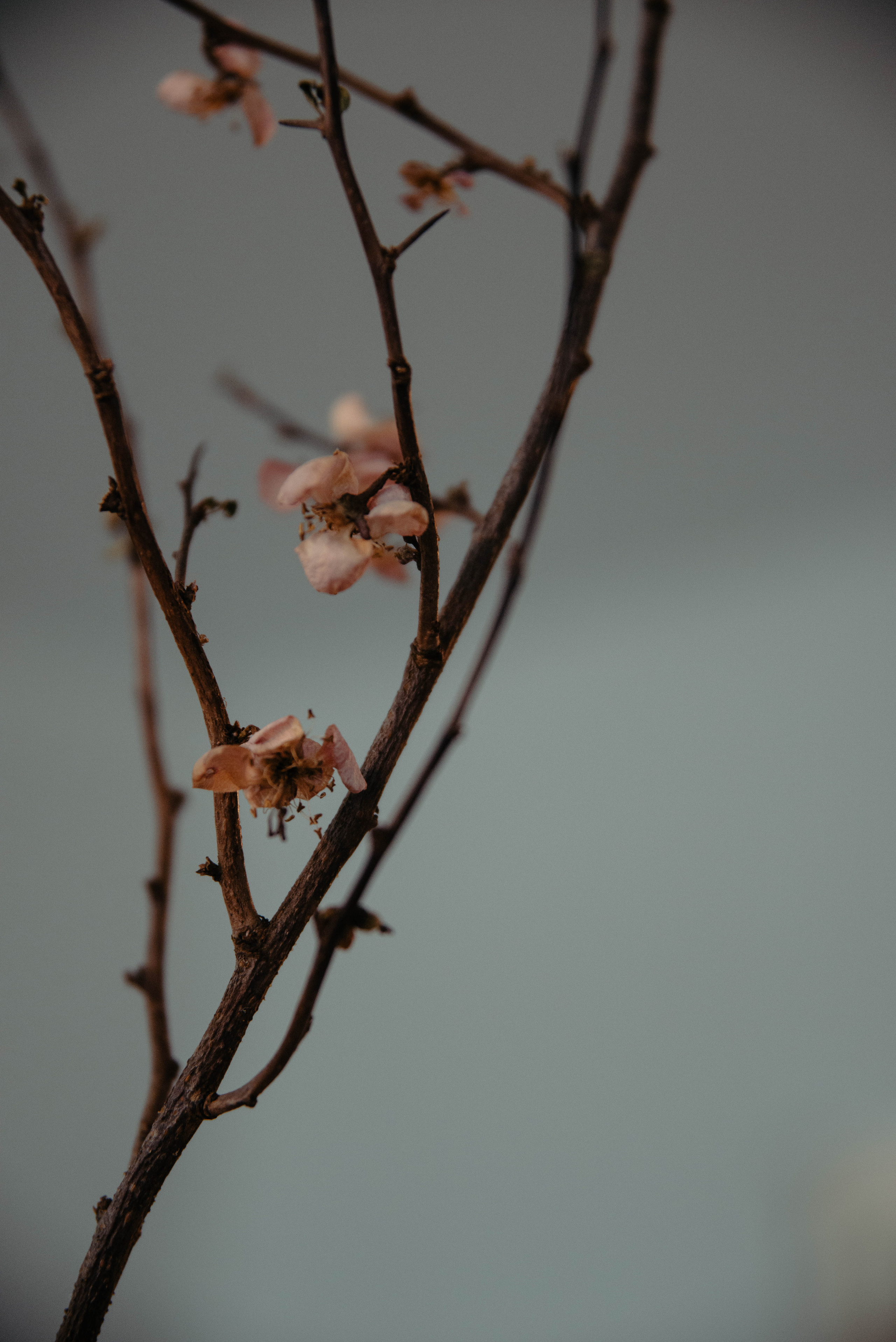 Контент для психолога. Ксения Glossa. Портретный и репортажный фотограф в Самаре