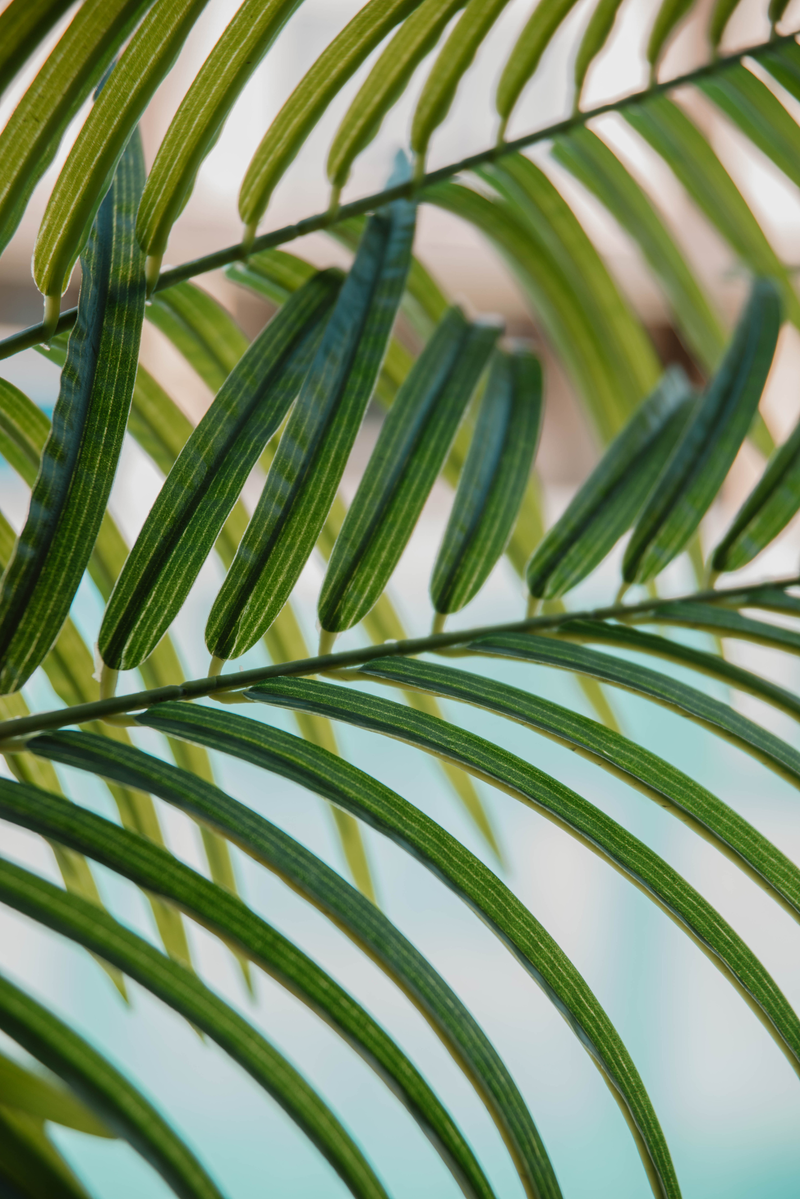 Визуал для клубного пространства «Своя среда». Ксения Glossa. Портретный и репортажный фотограф в Самаре