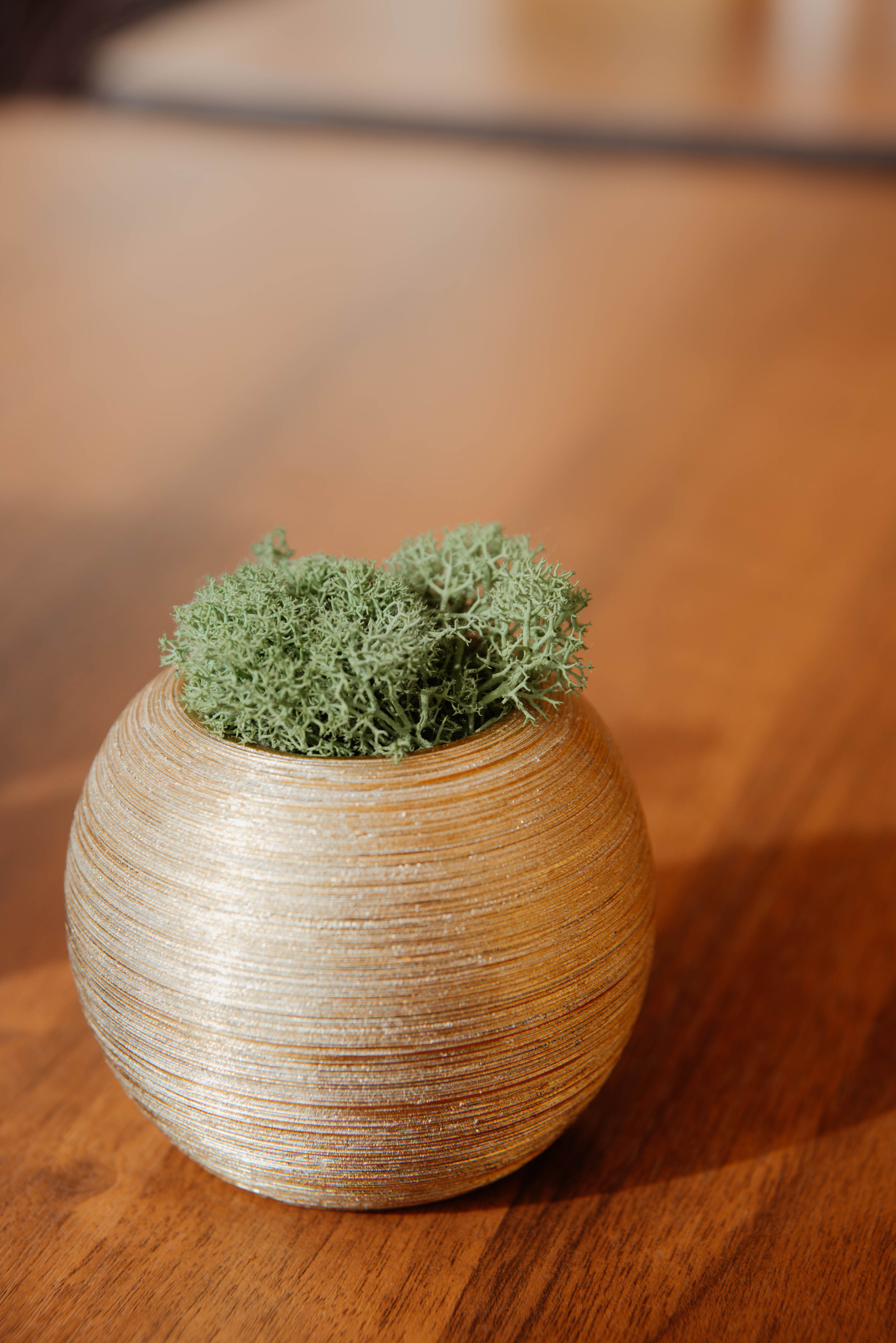 Визуал для клубного пространства «Своя среда». Ксения Glossa. Портретный и репортажный фотограф в Самаре