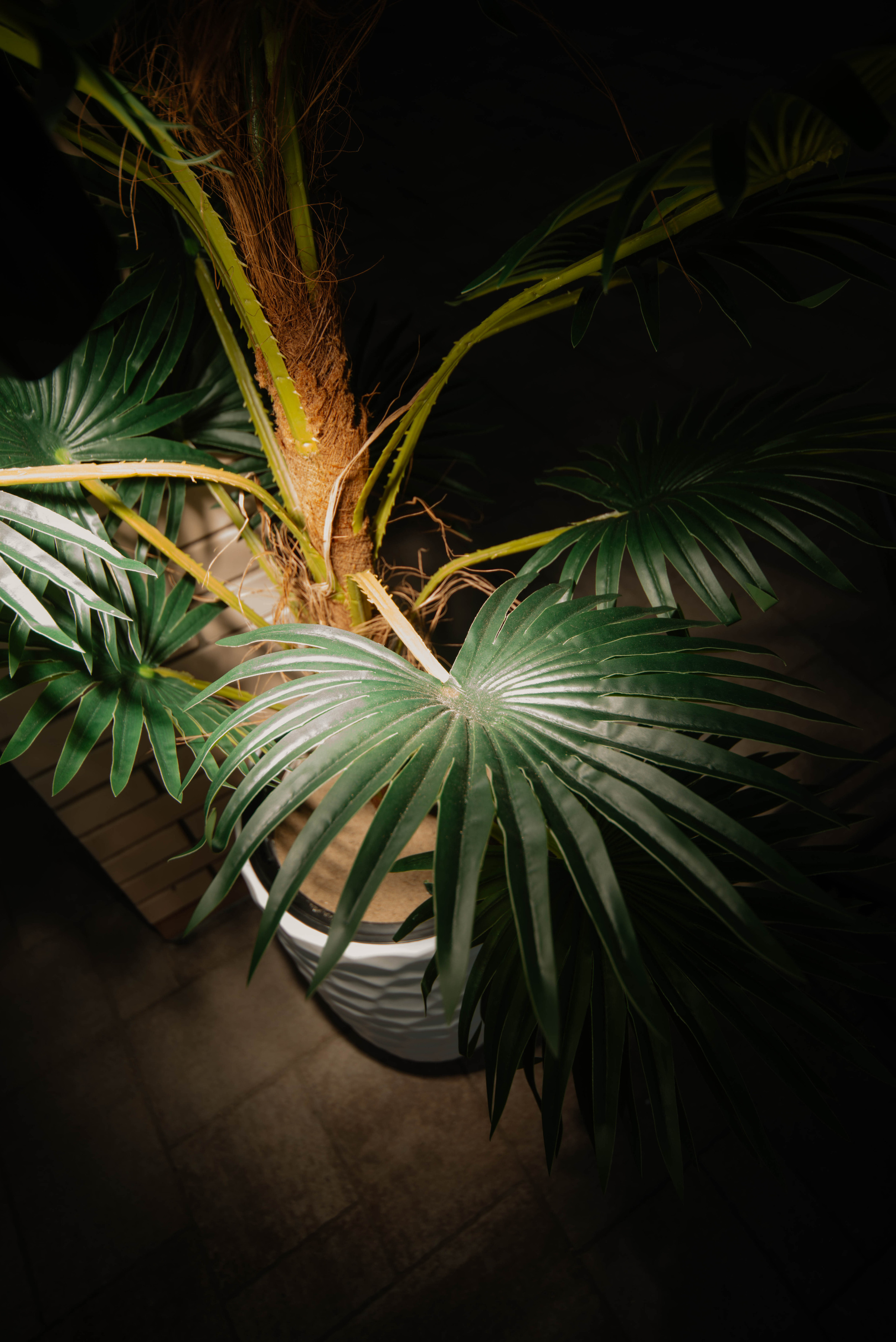 Визуал для клубного пространства «Своя среда». Ксения Glossa. Портретный и репортажный фотограф в Самаре