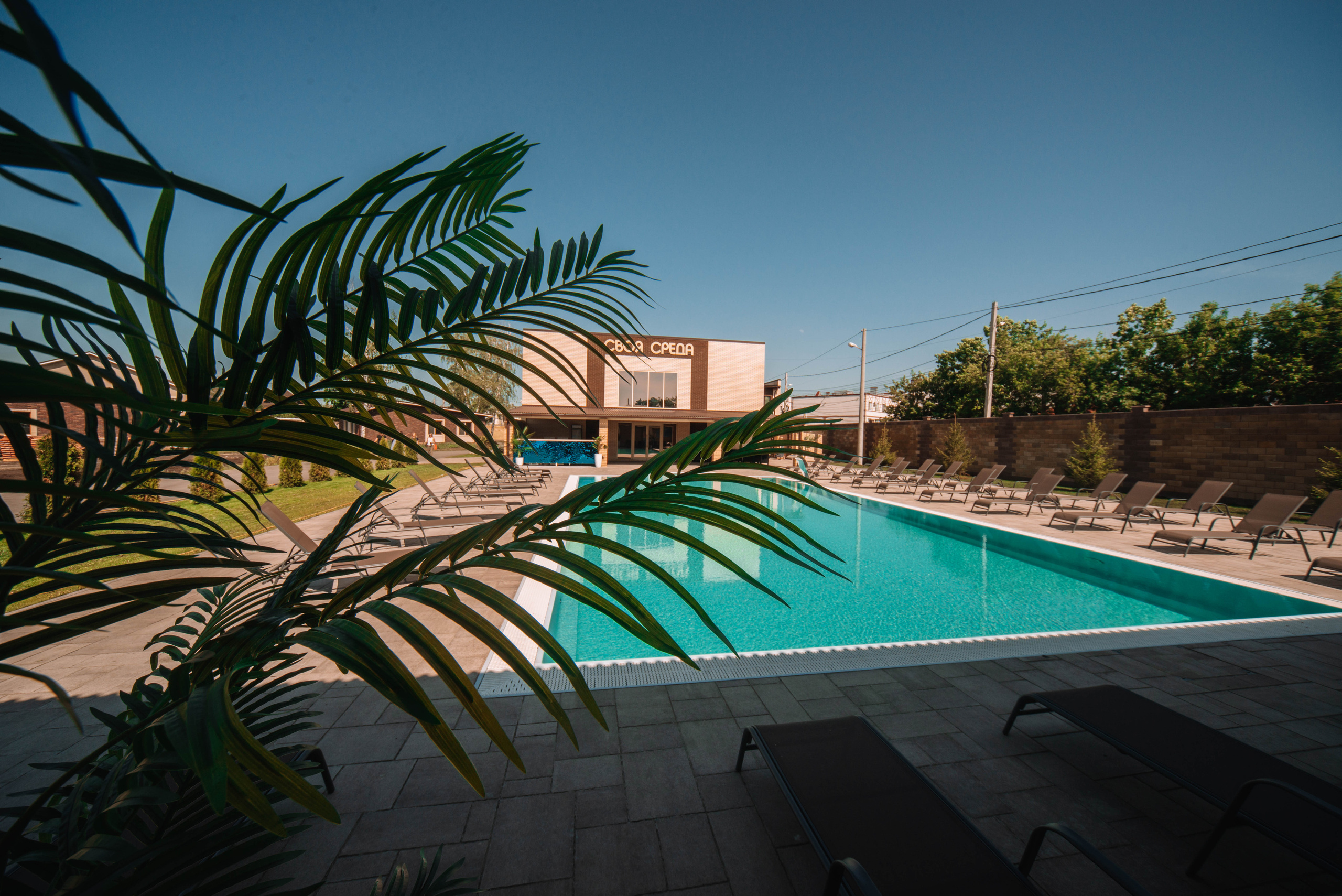 Визуал для клубного пространства «Своя среда». Ксения Glossa. Портретный и репортажный фотограф в Самаре