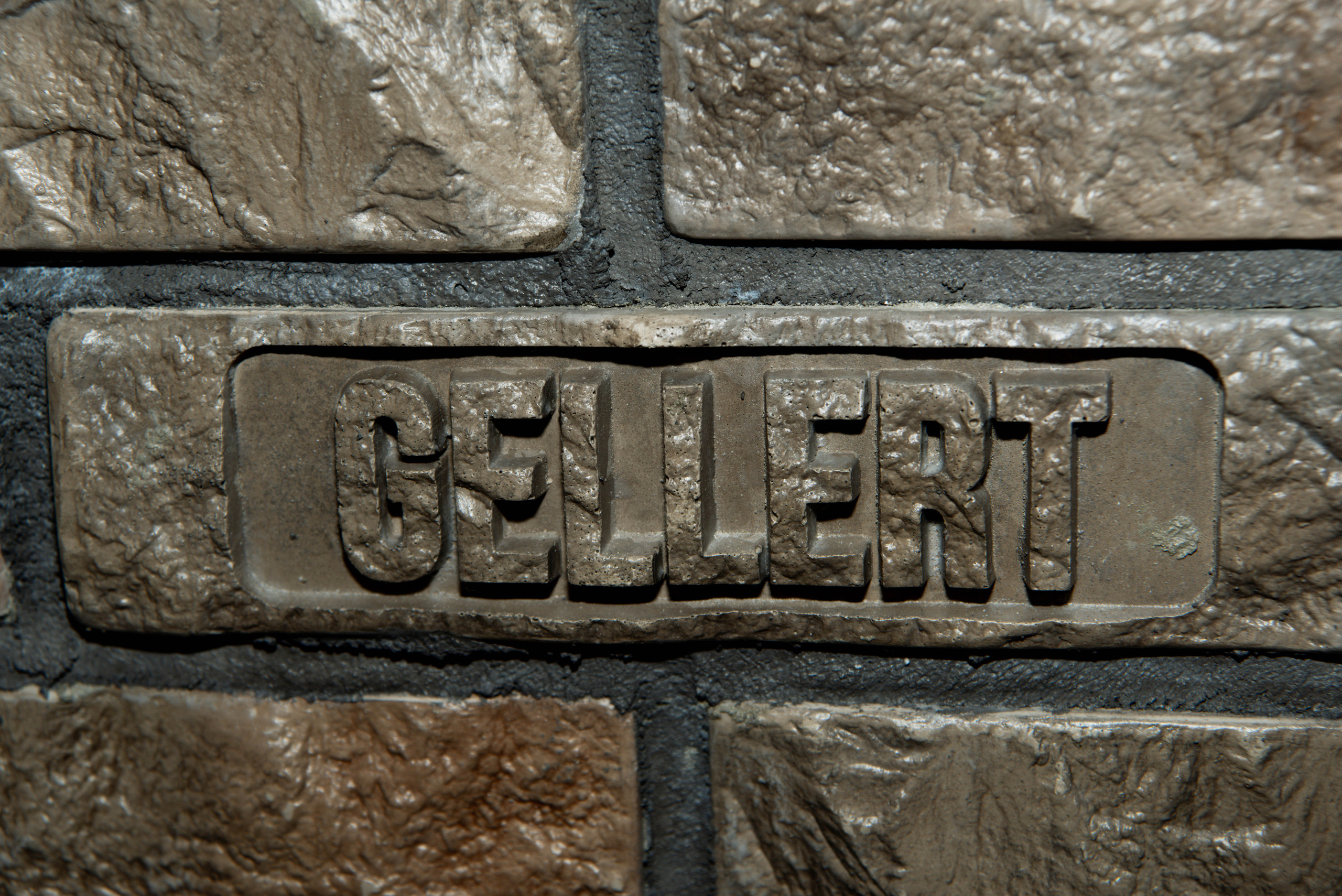 Открытие бара Gellert. Ксения Glossa. Портретный и репортажный фотограф в Самаре