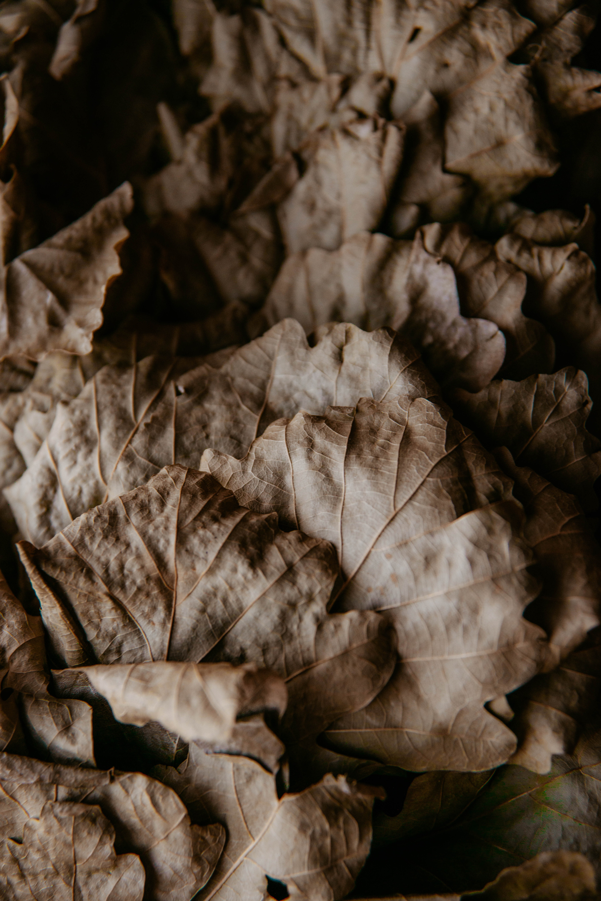 Визуал для клубного пространства «Своя среда». Ксения Glossa. Портретный и репортажный фотограф в Самаре