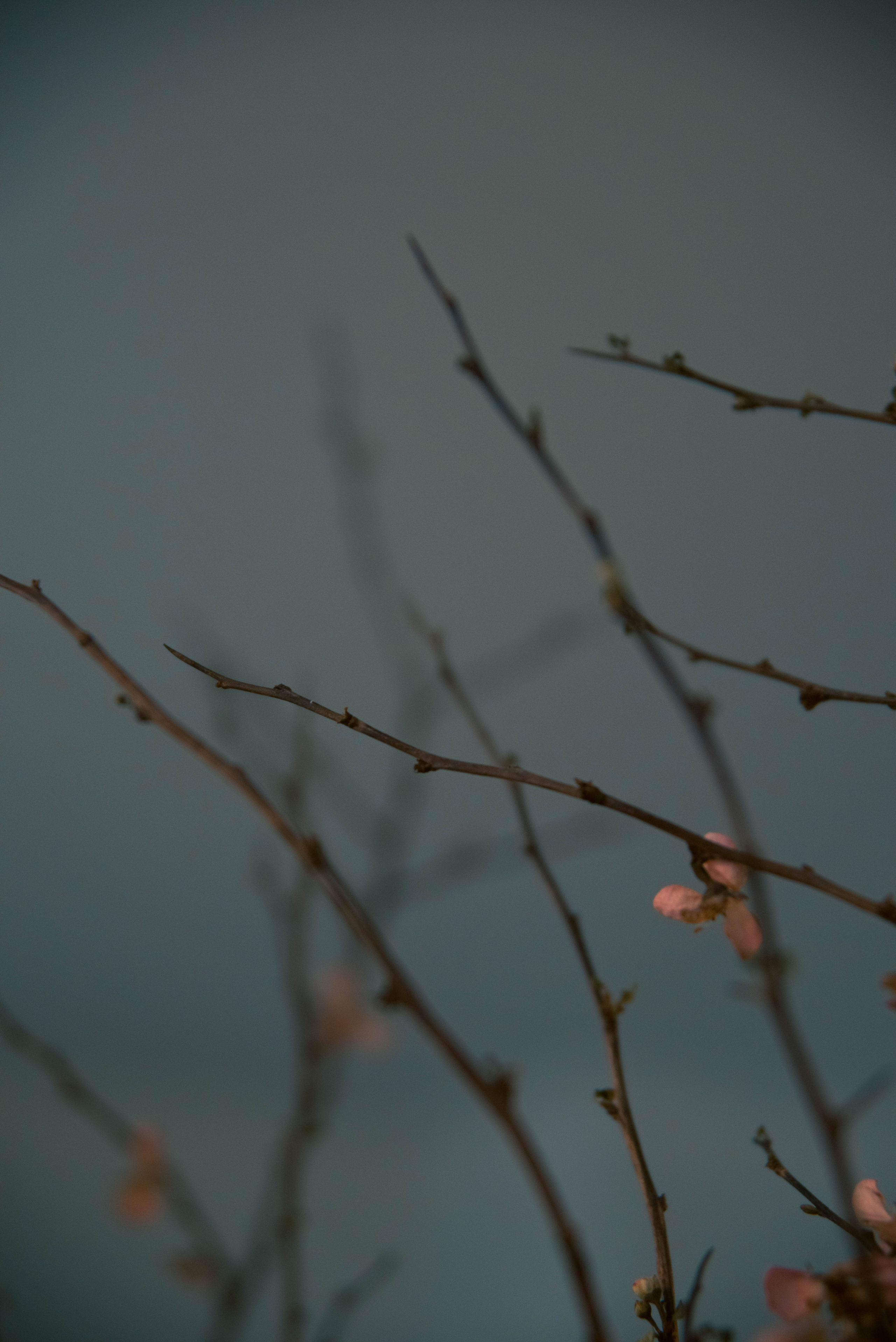 Контент для психолога. Ксения Glossa. Портретный и репортажный фотограф в Самаре