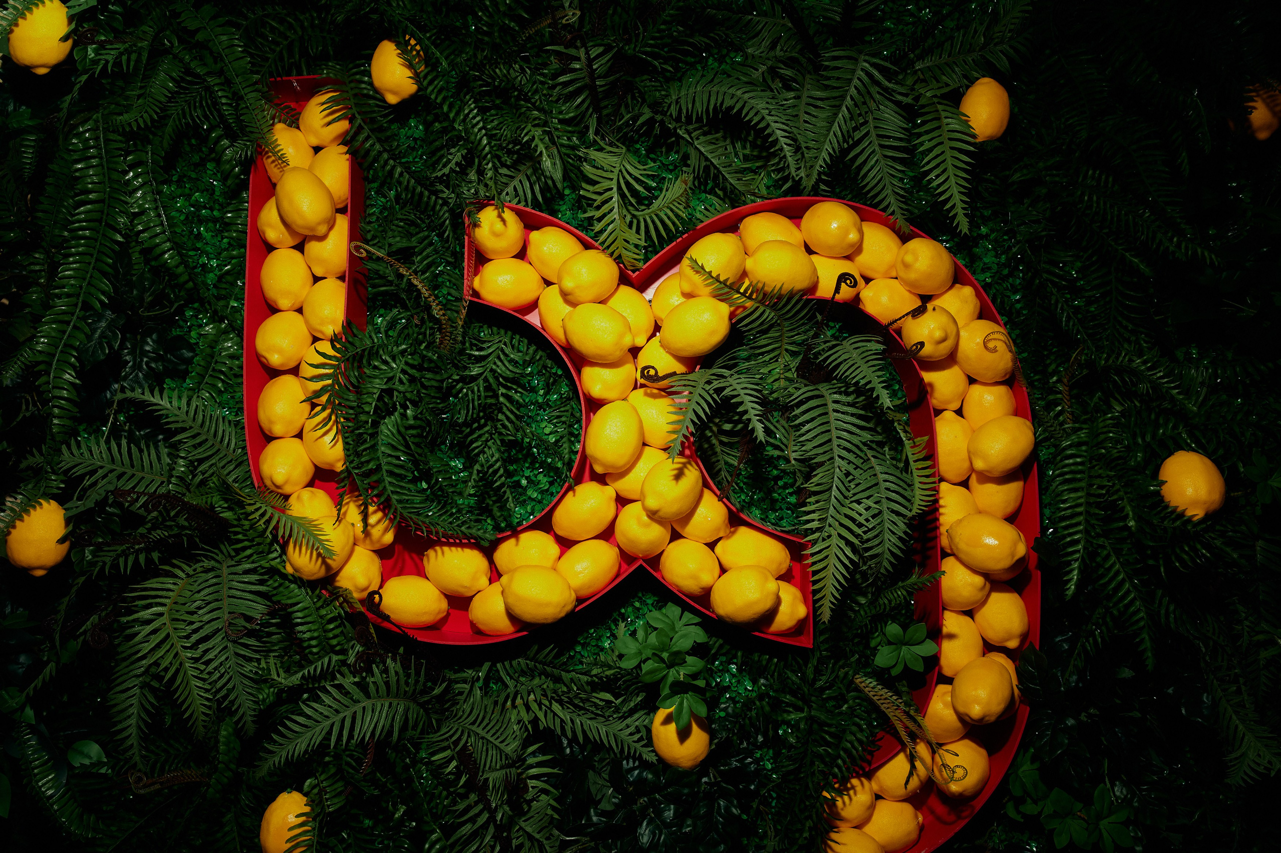 BG. Дмитрий Мазуркевич: Профессиональный Репортажный Фотограф