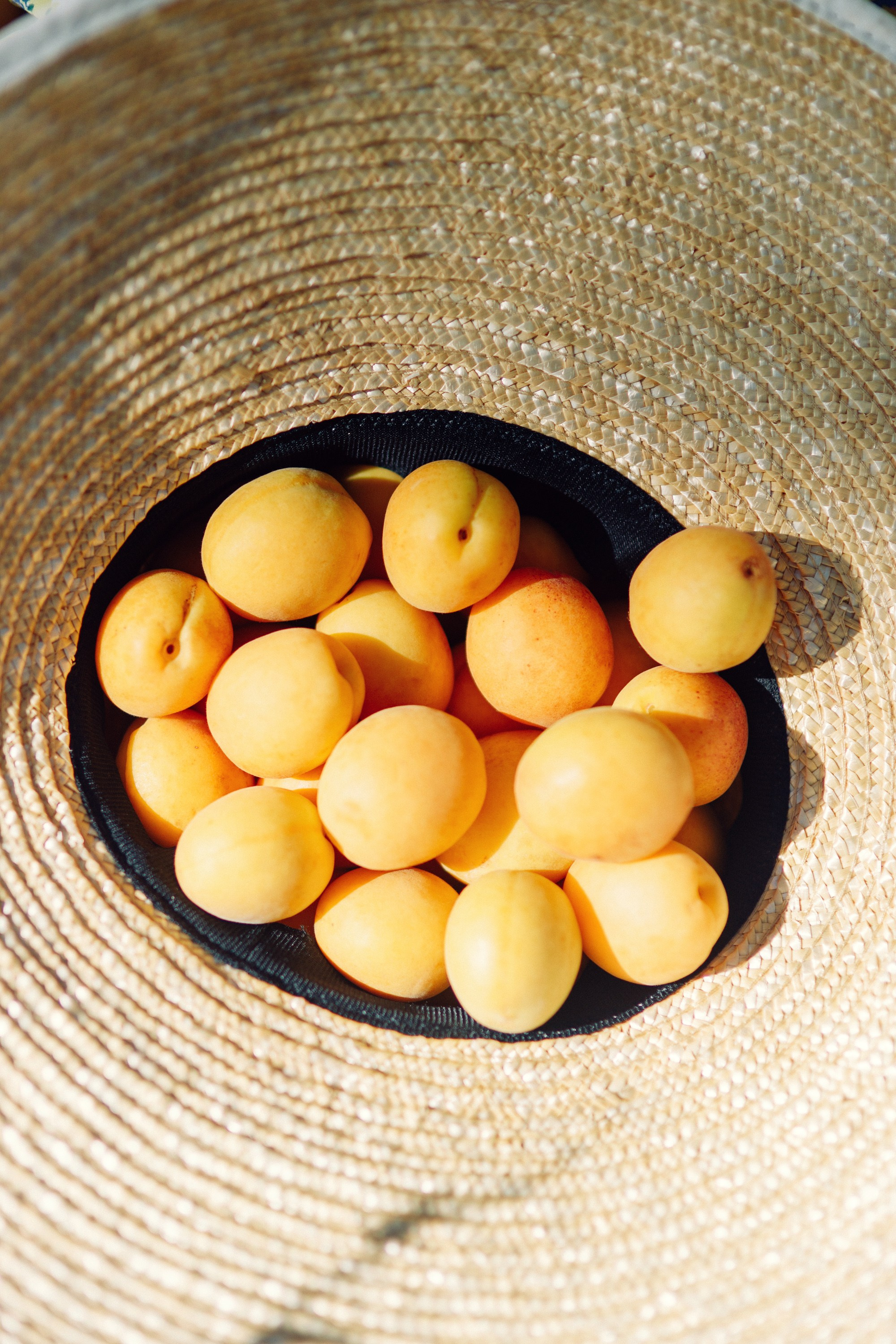 Фотосессия с абрикосами в Батуми