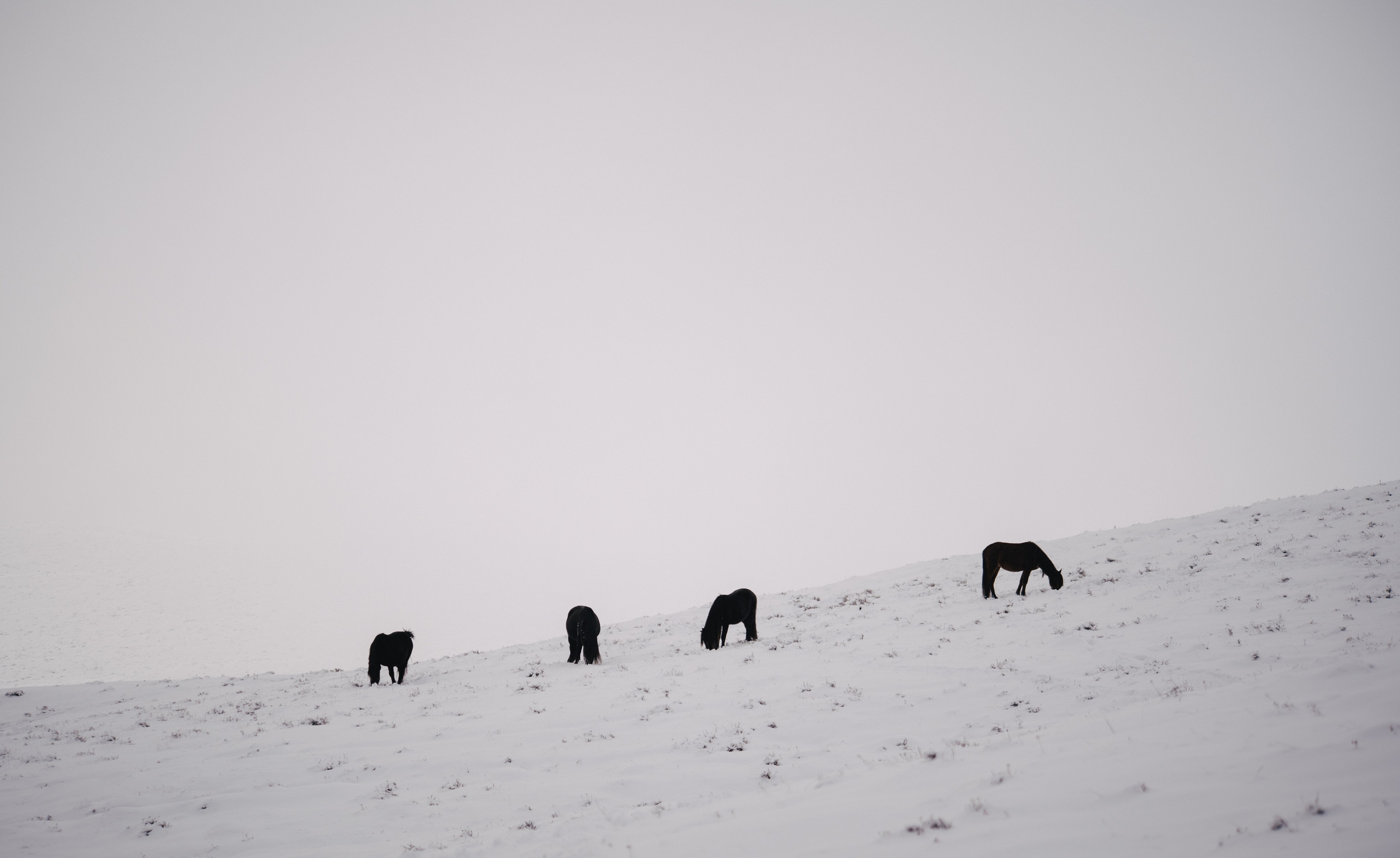 ДАГЕСТАН. Создание контента | Фото | Видеосъемка | Александр Ярков