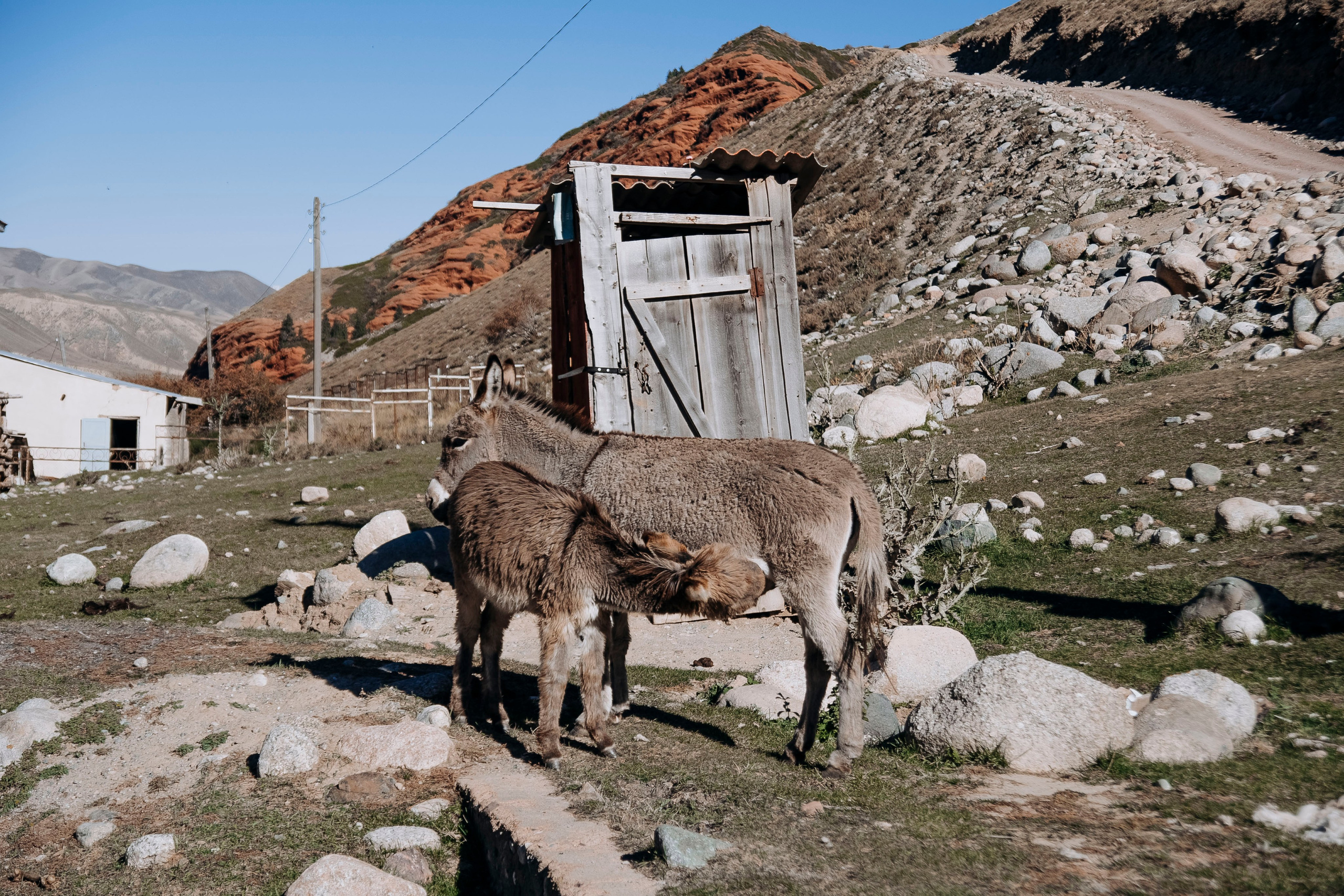 Кыргызстан. Iraogo