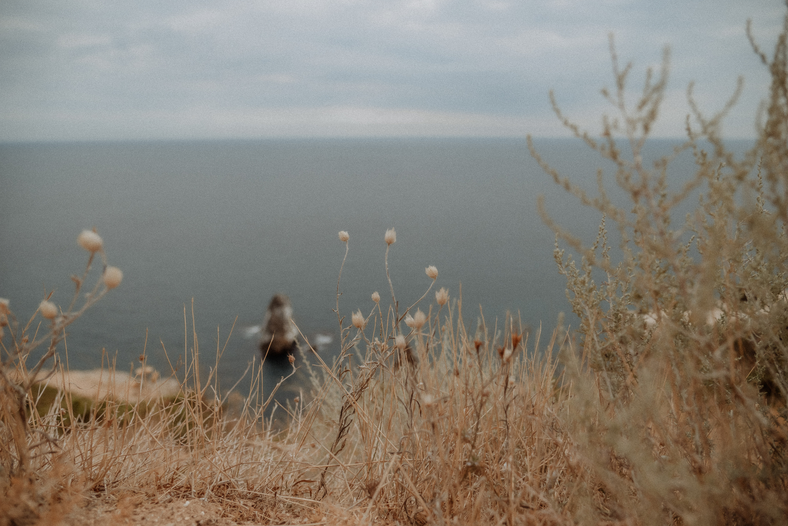 Максим и Татьяна. Золотая Балка. Свадебный фотограф Анна Хочева