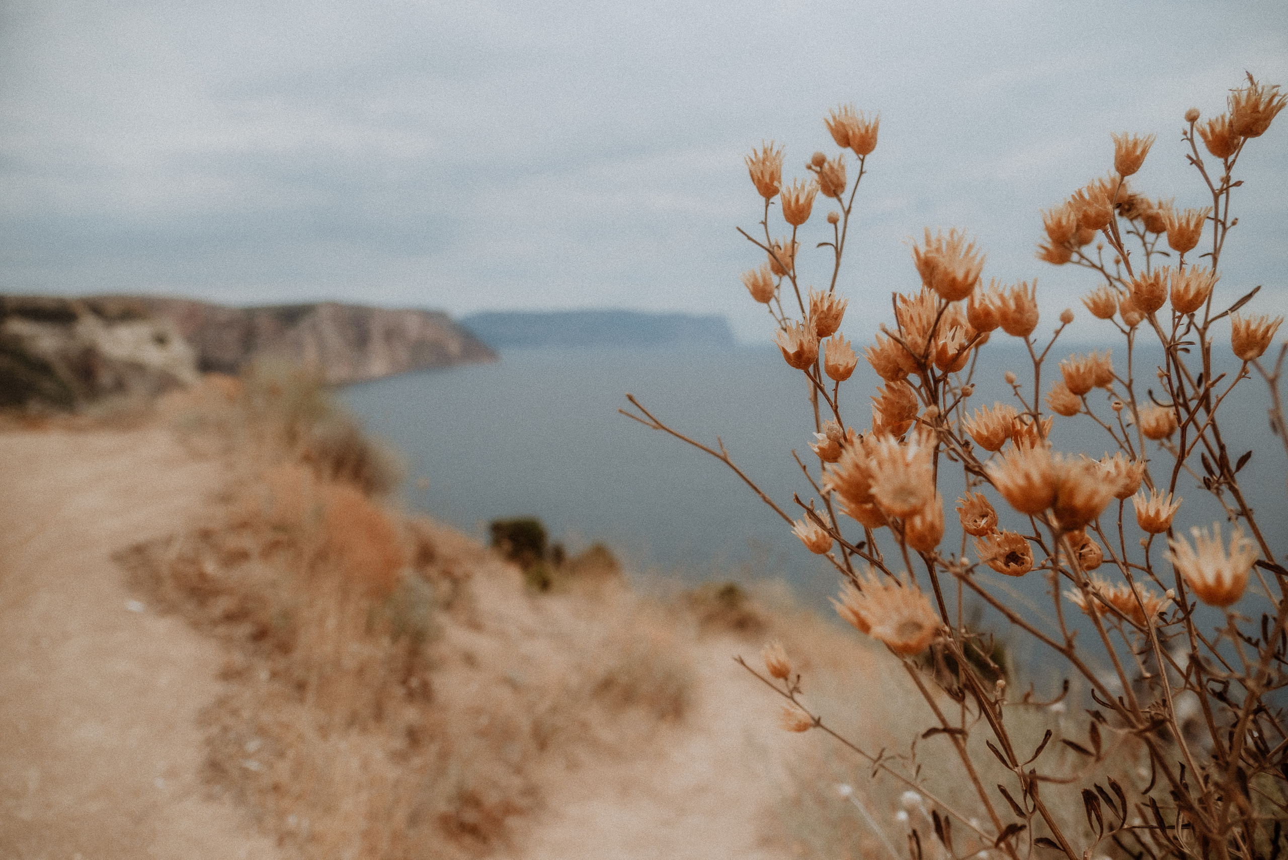 Максим и Татьяна. Золотая Балка. Свадебный фотограф Анна Хочева
