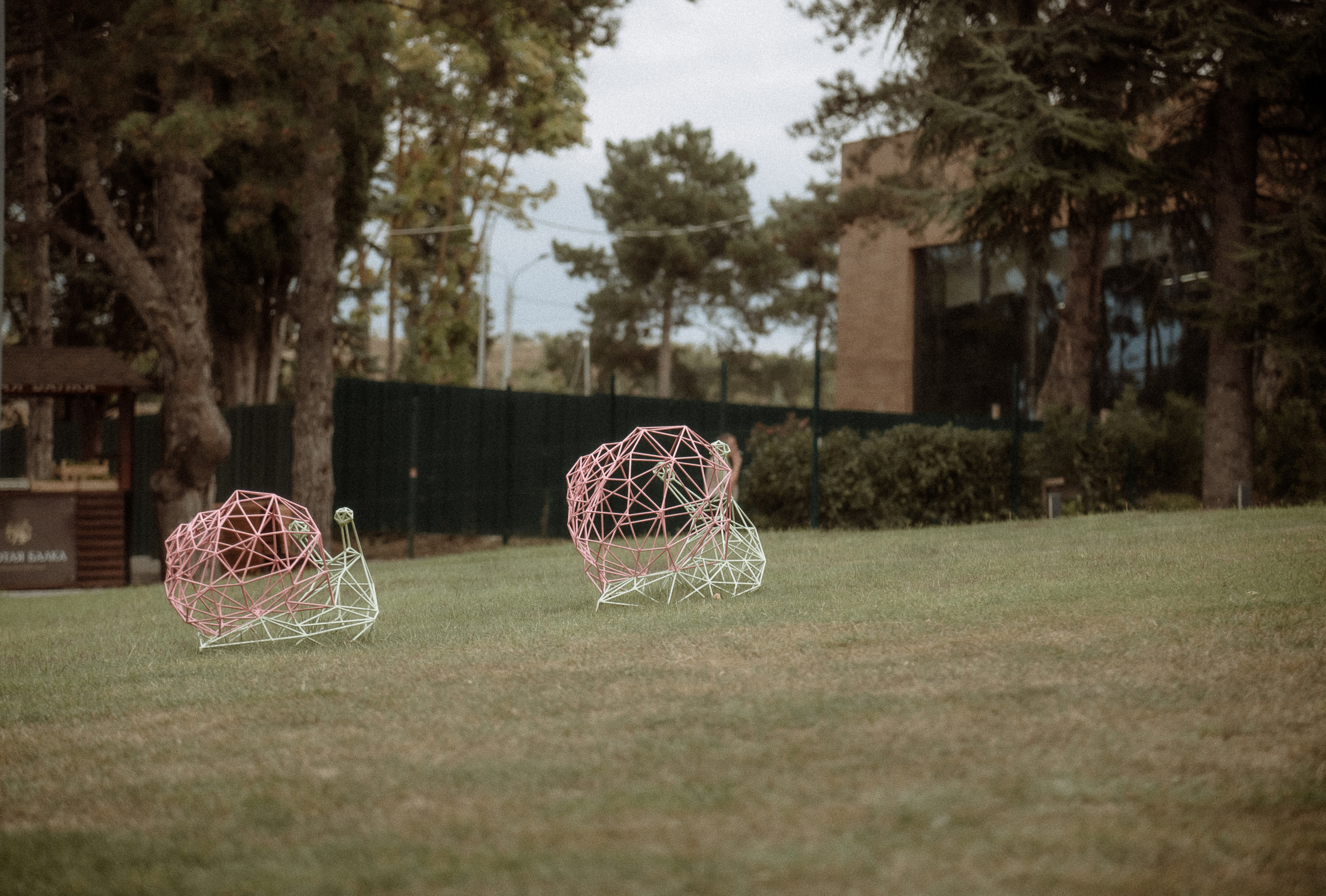 Максим и Татьяна. Золотая Балка. Свадебный фотограф Анна Хочева