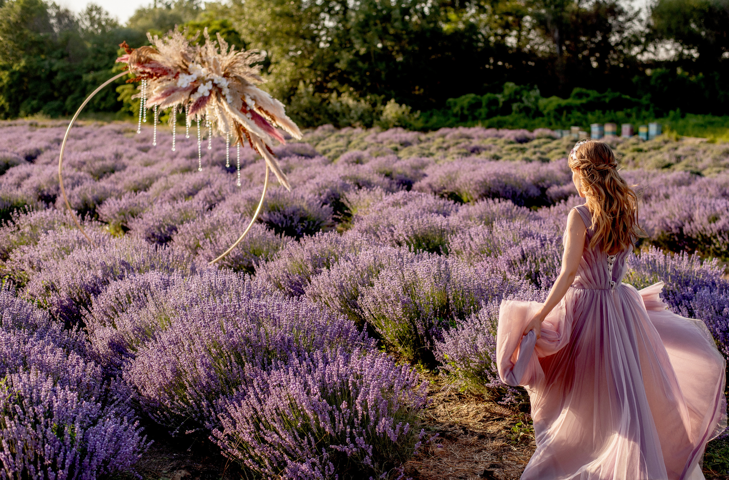 Лавандовое поле. Выездная церемония. Свадебный фотограф Анна Хочева