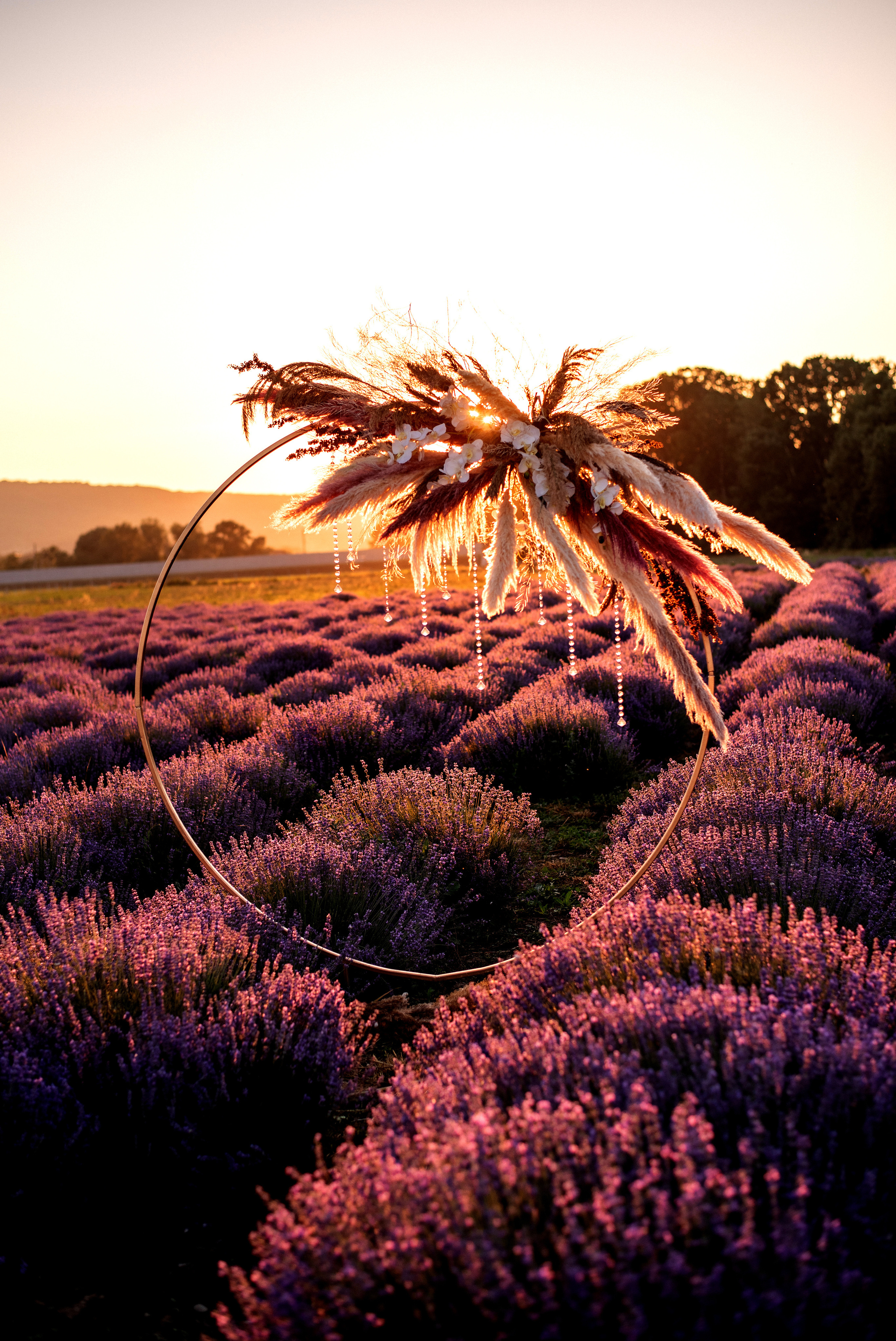 Лавандовое поле. Выездная церемония. Свадебный фотограф Анна Хочева