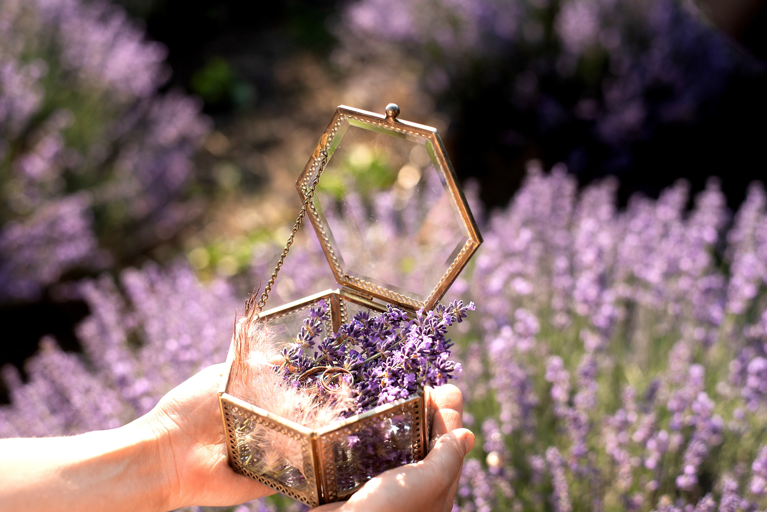 Лавандовое поле. Выездная церемония. Свадебный фотограф Анна Хочева