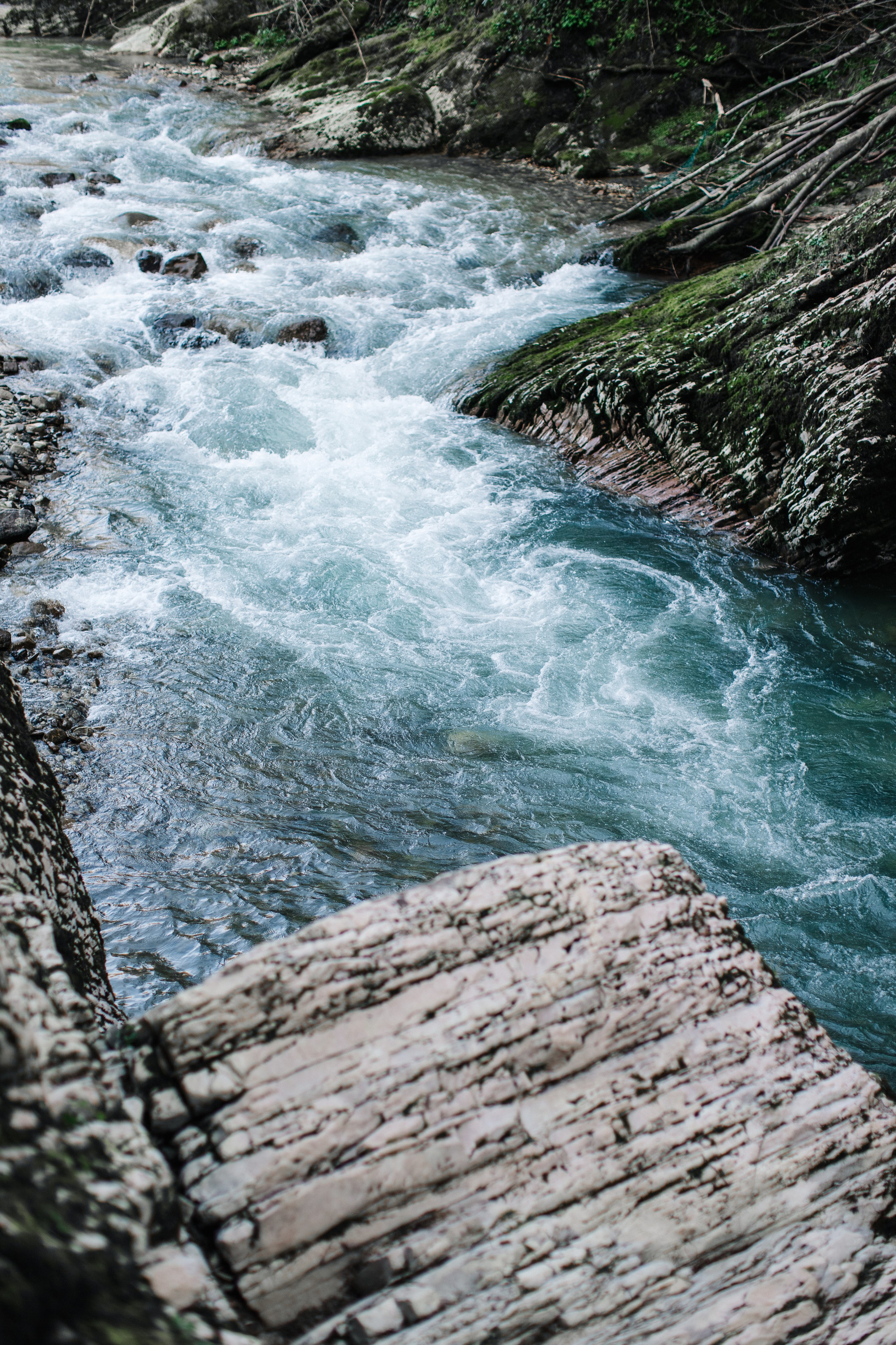 Лена. Свадебный, семейный фотограф Брянск, Москва — Виктория Антропова