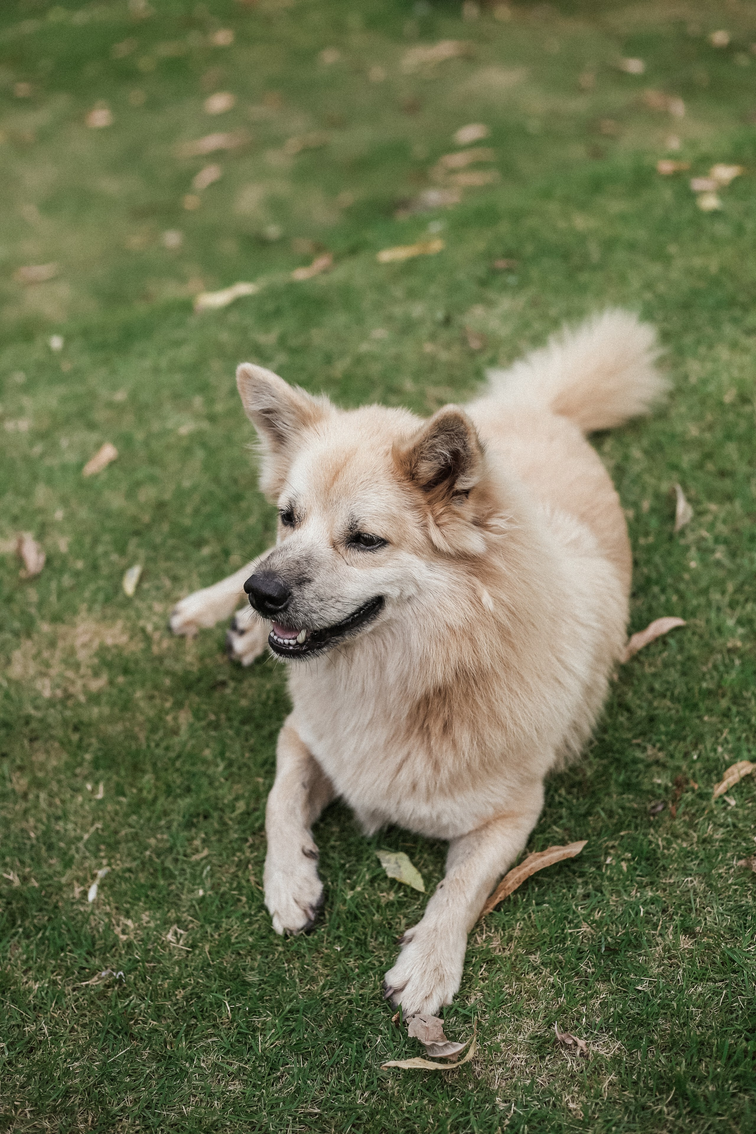 Винный Девичник в стиле Прованс. Фотограф и видеограф Анна Домашенко