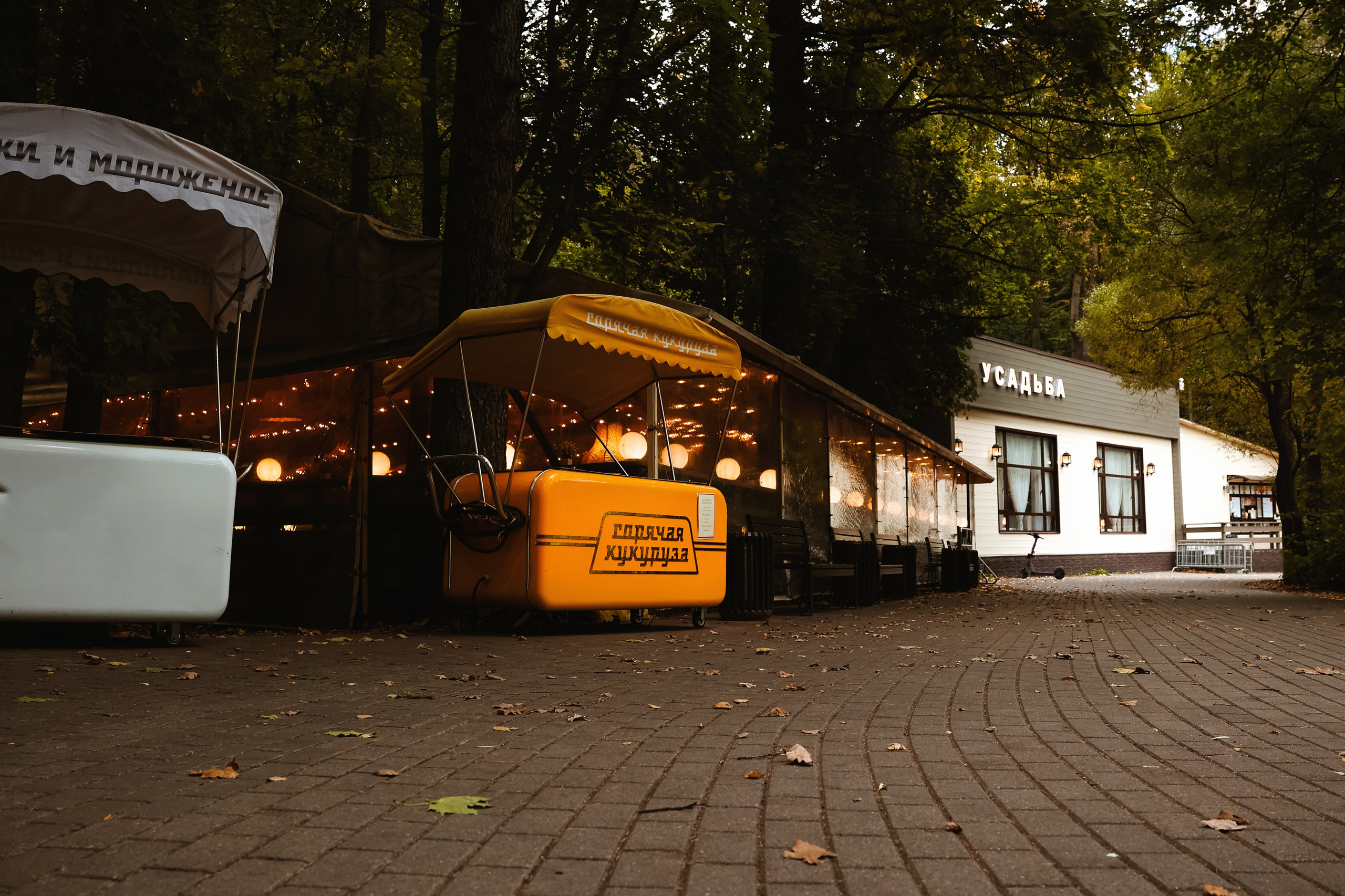 Контакты свадебного, семейного и индивидуального фотографа. Свадебный, семейный и индивидуальный фотограф в Зеленограде и Москве Ирина Костенко