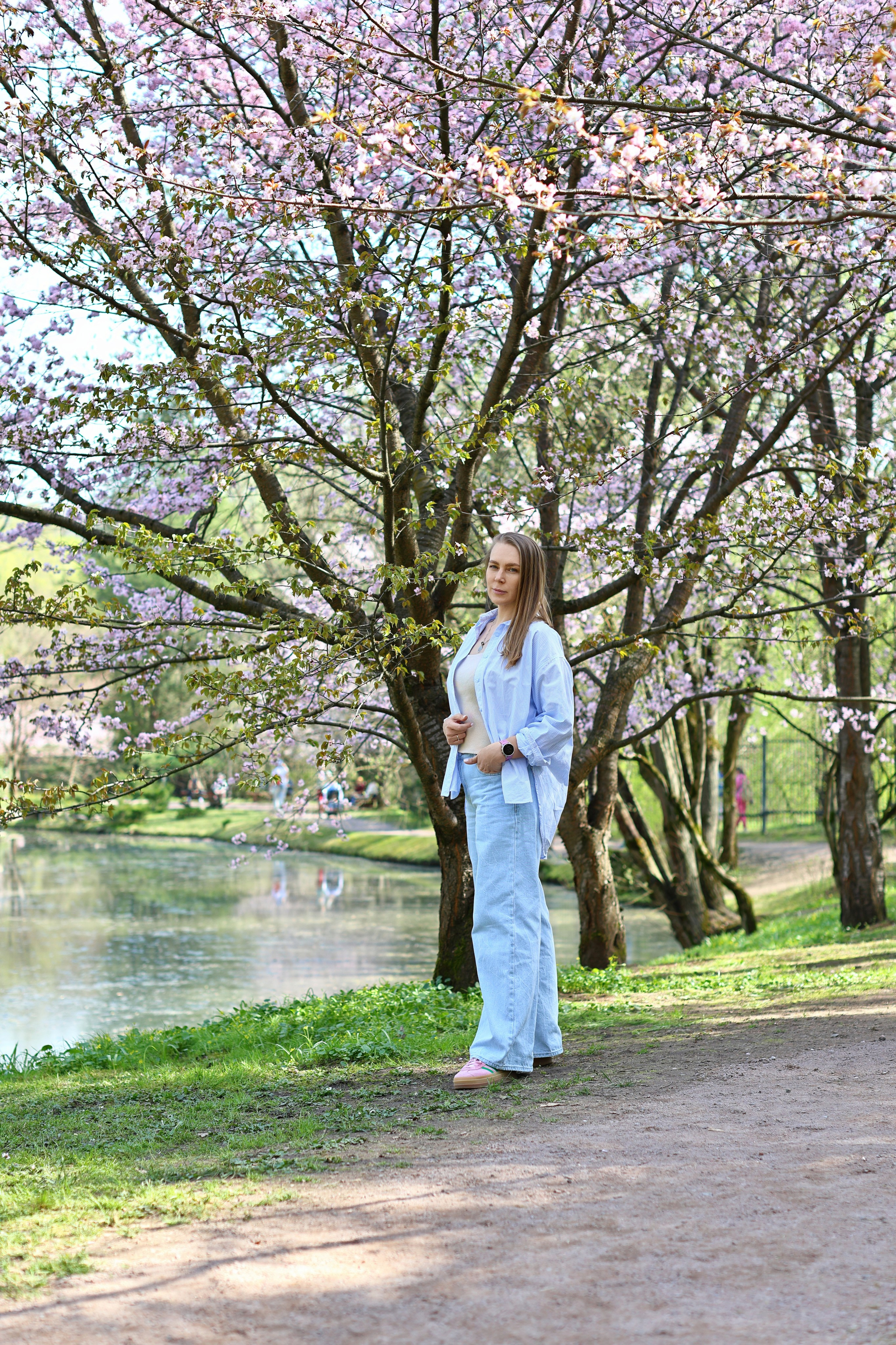 Цветение сакуры. Фотограф в Москве и Подмосковье, Николай Сорокин
