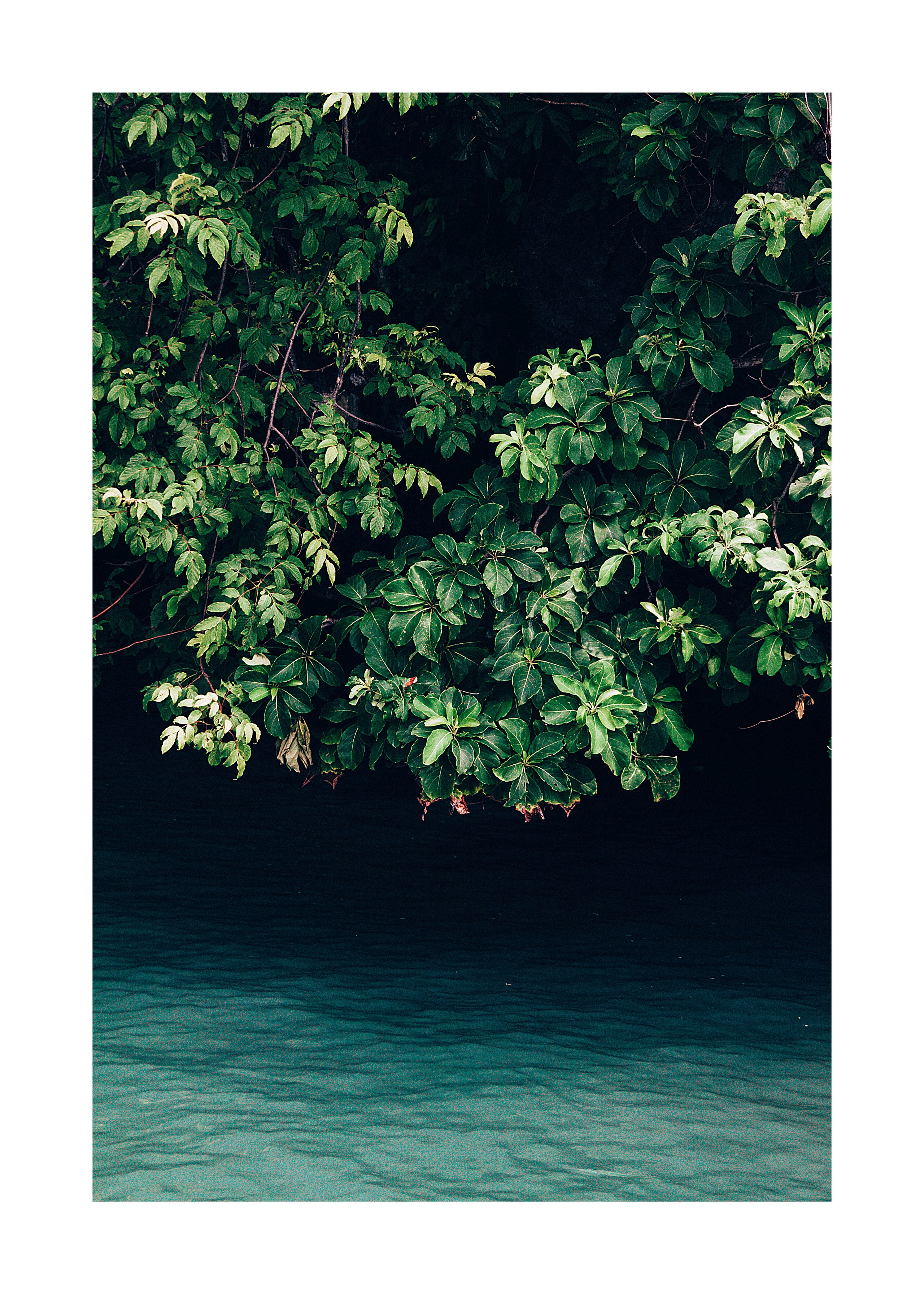 The outside world. ДарияГалямова — фотограф: открытый, творческий, коммерческий