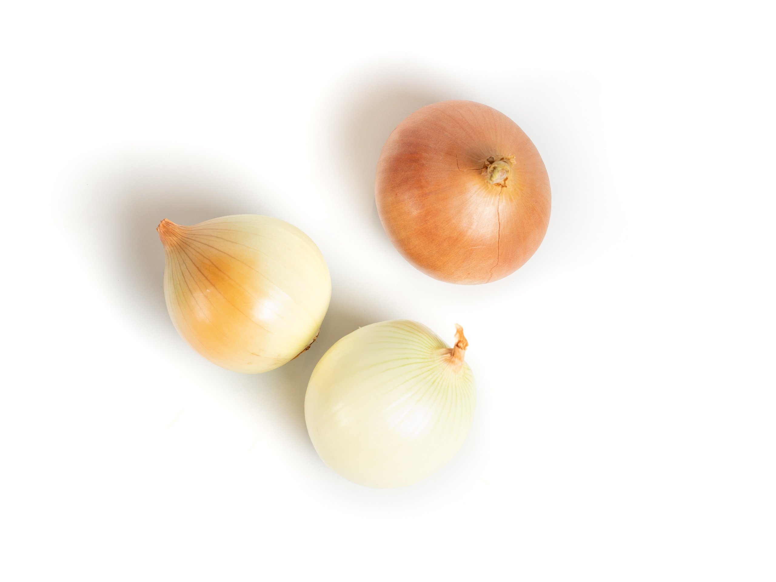 Яндекс Маркет. Предметный и фуд-фотограф в Москве Анна Царенко