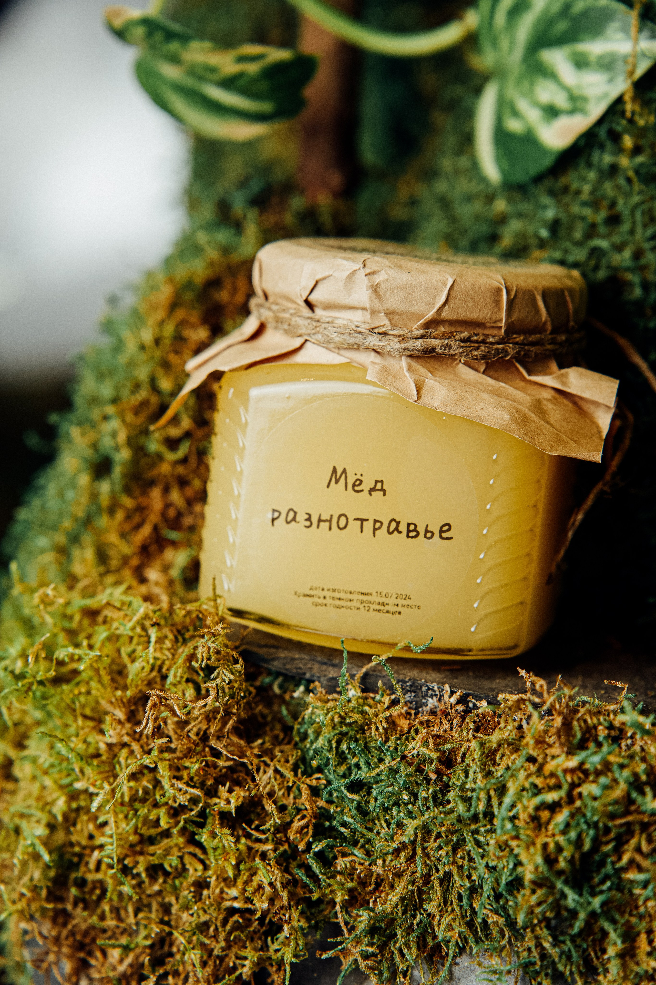 Даниловский рынок. Предметный и фуд-фотограф в Москве Анна Царенко