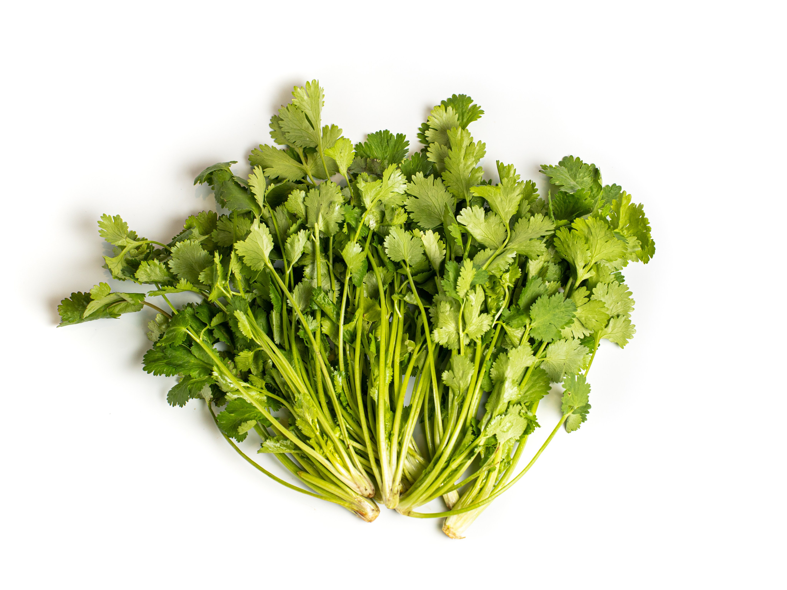 Яндекс Маркет. Предметный и фуд-фотограф в Москве Анна Царенко