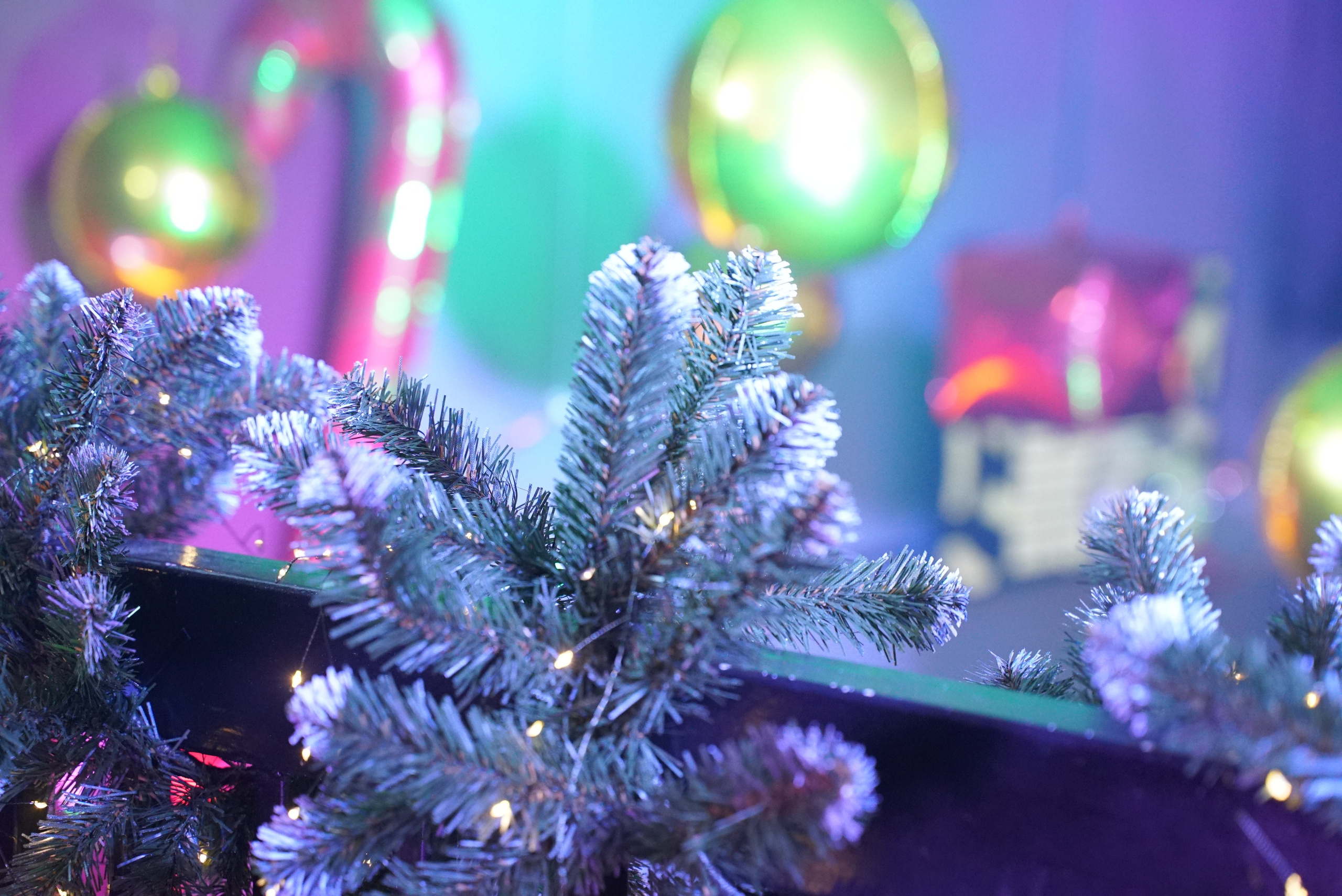 День рождения Екатерины. Mariage