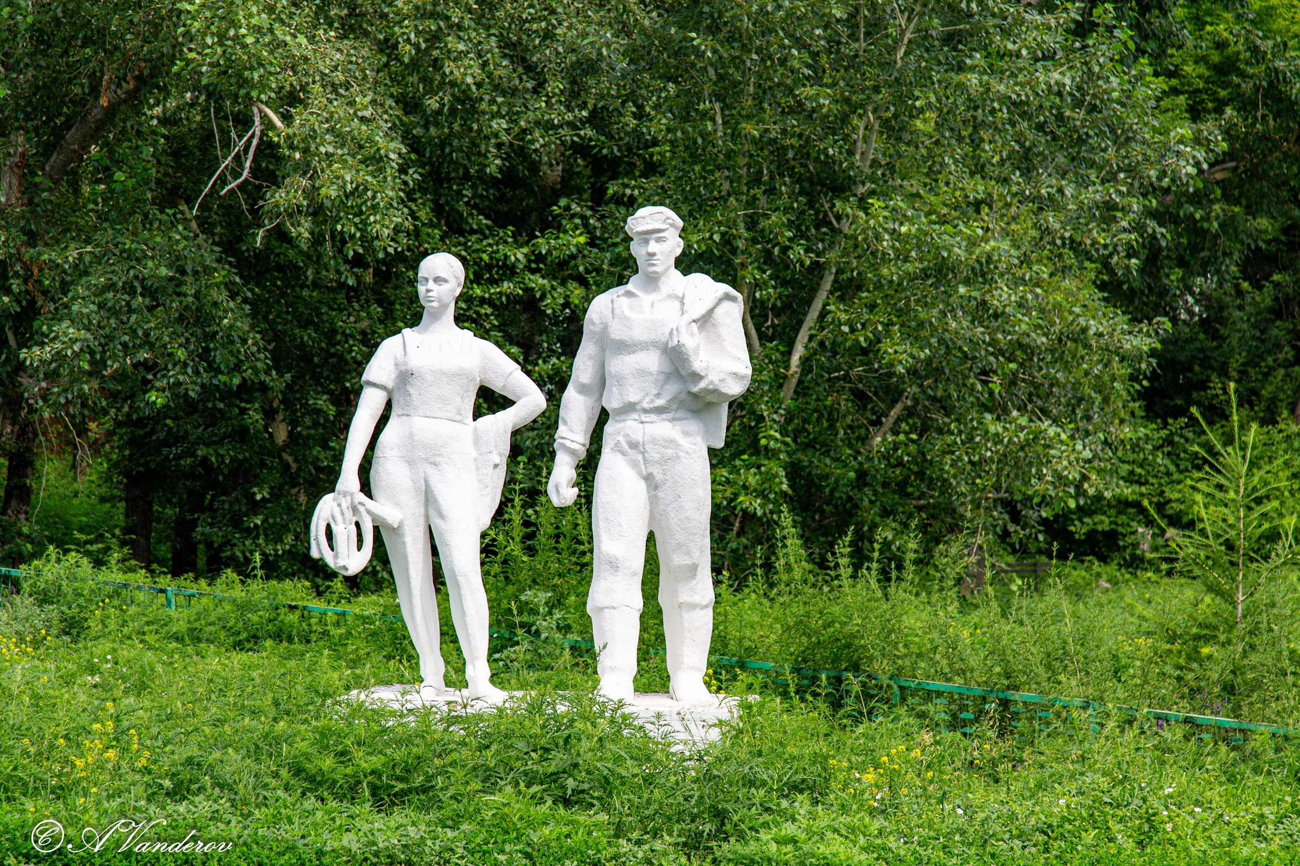 Калачинск 07.07.2024. Фотограф Омск | Александр Вандеров