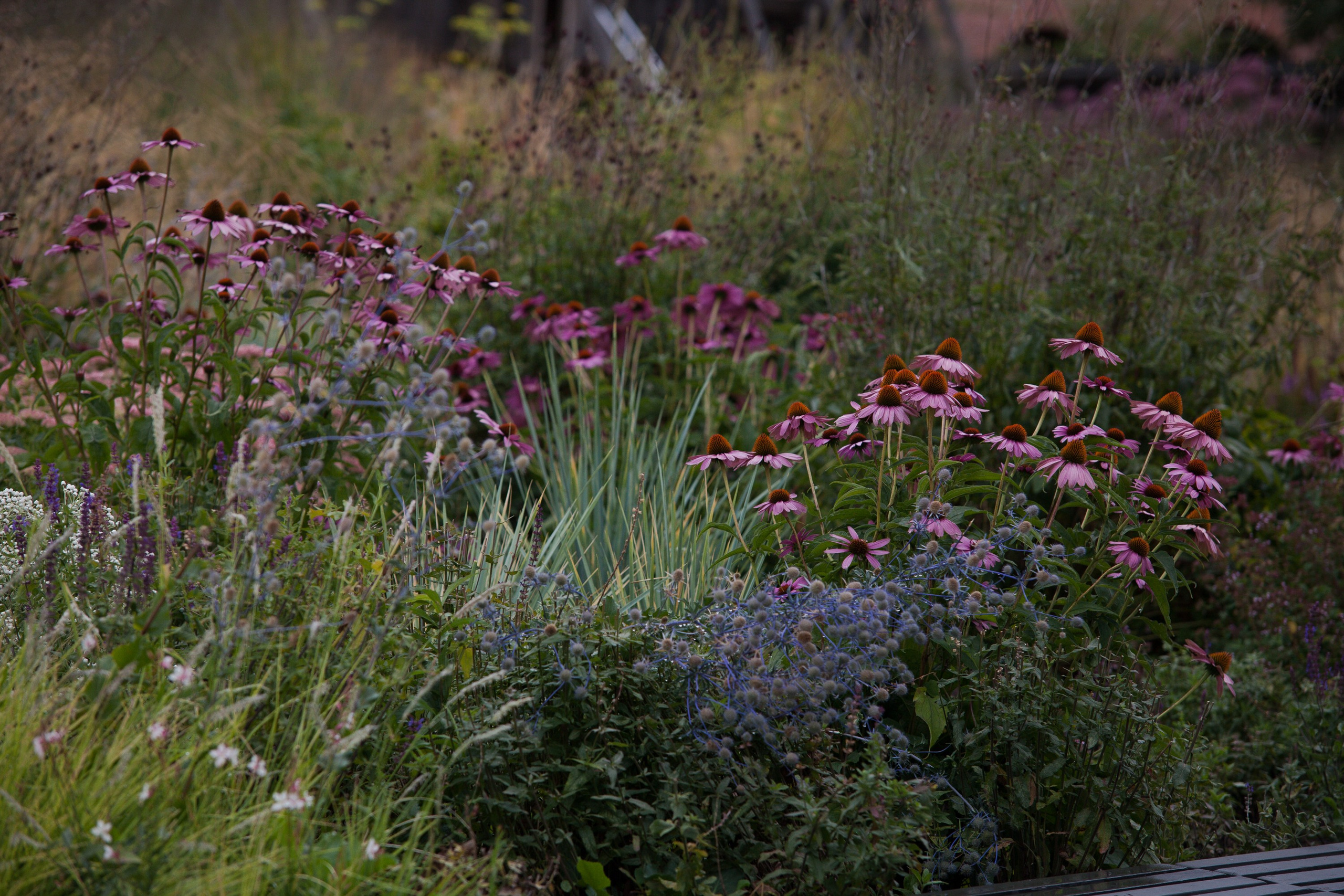 Новая Голландия — объект культурного наследия народов РФ федерального значения. Туманов Виталий — фотограф Москва